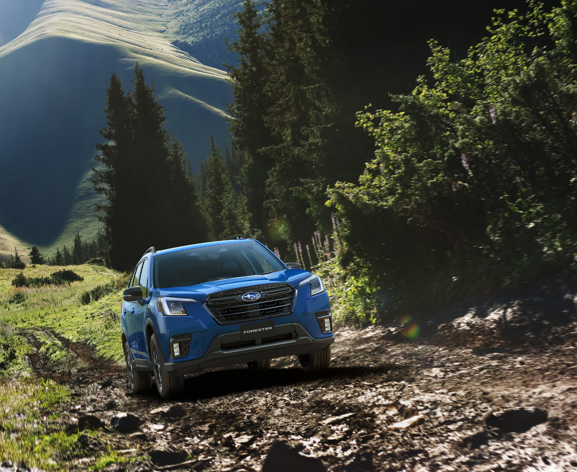 Subaru Forester XT-Edition (1)