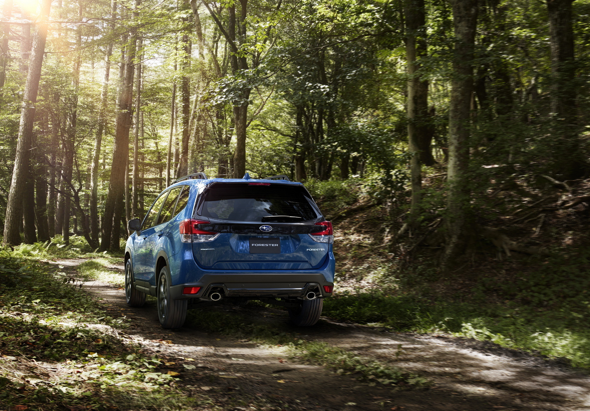 Subaru Forester XT-Edition (3)