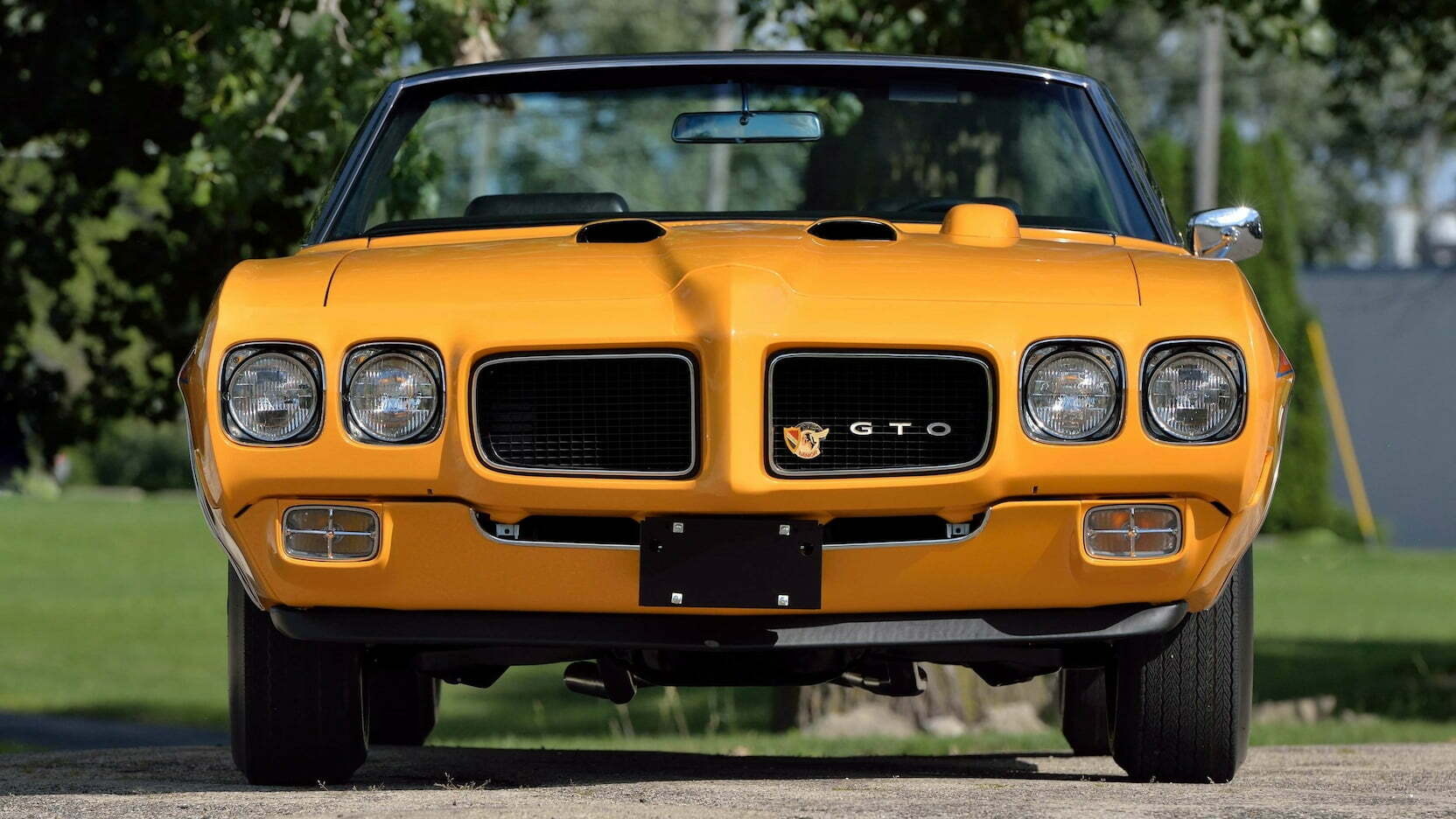 Pontiac GTO 3
