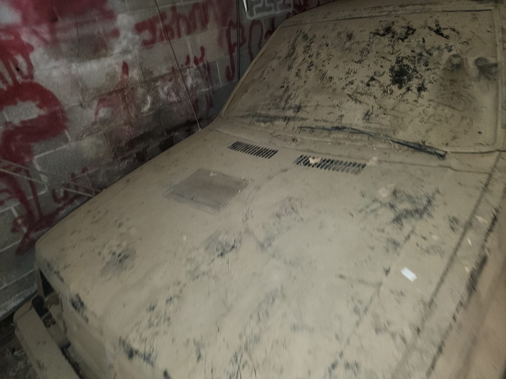 Dusty Shelby Omni GLH-S (5)