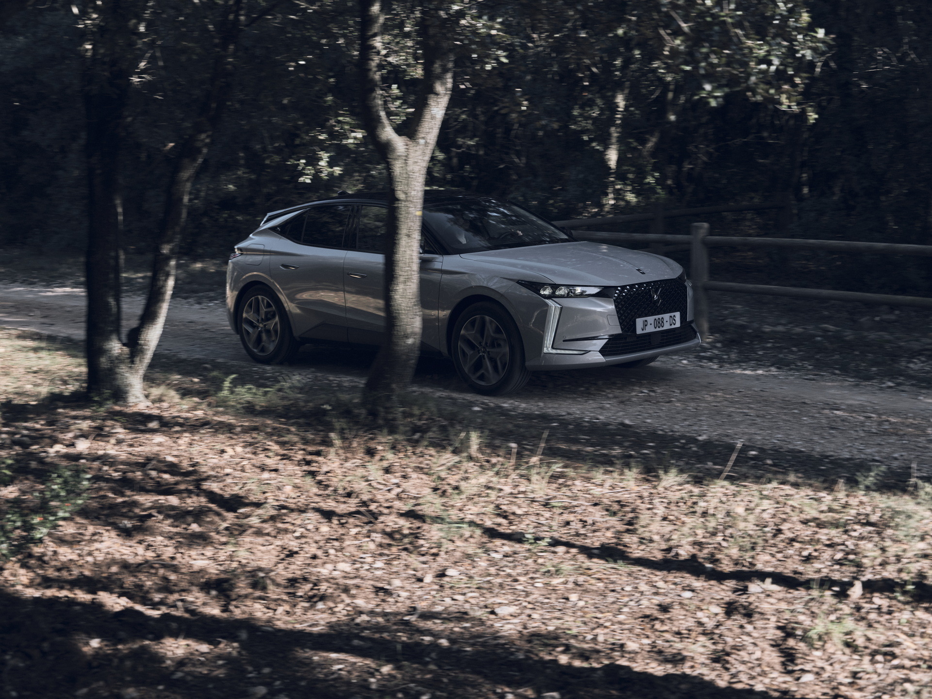DS 4 Esprit De Voyage (14)