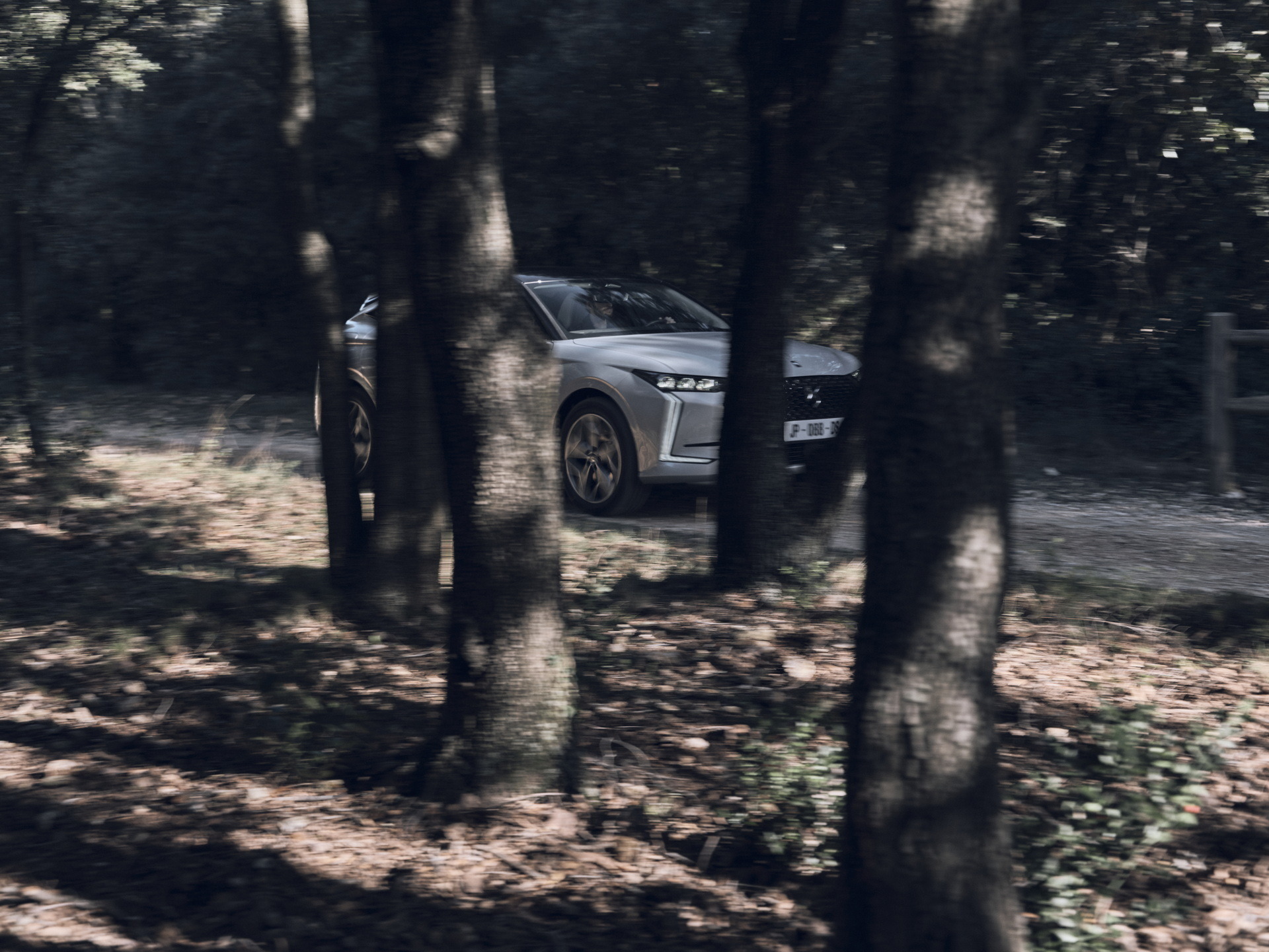 DS 4 Esprit De Voyage (15)