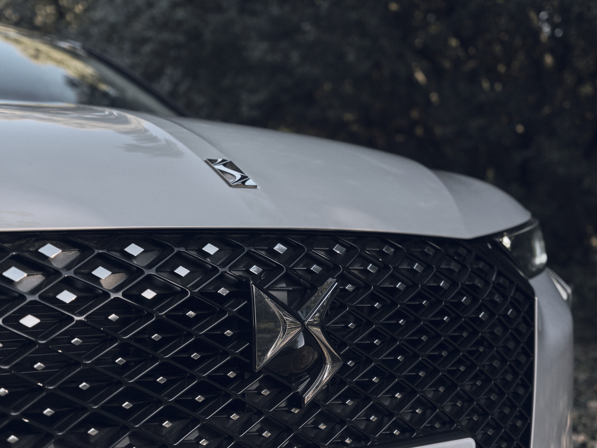 DS 4 Esprit De Voyage (80)