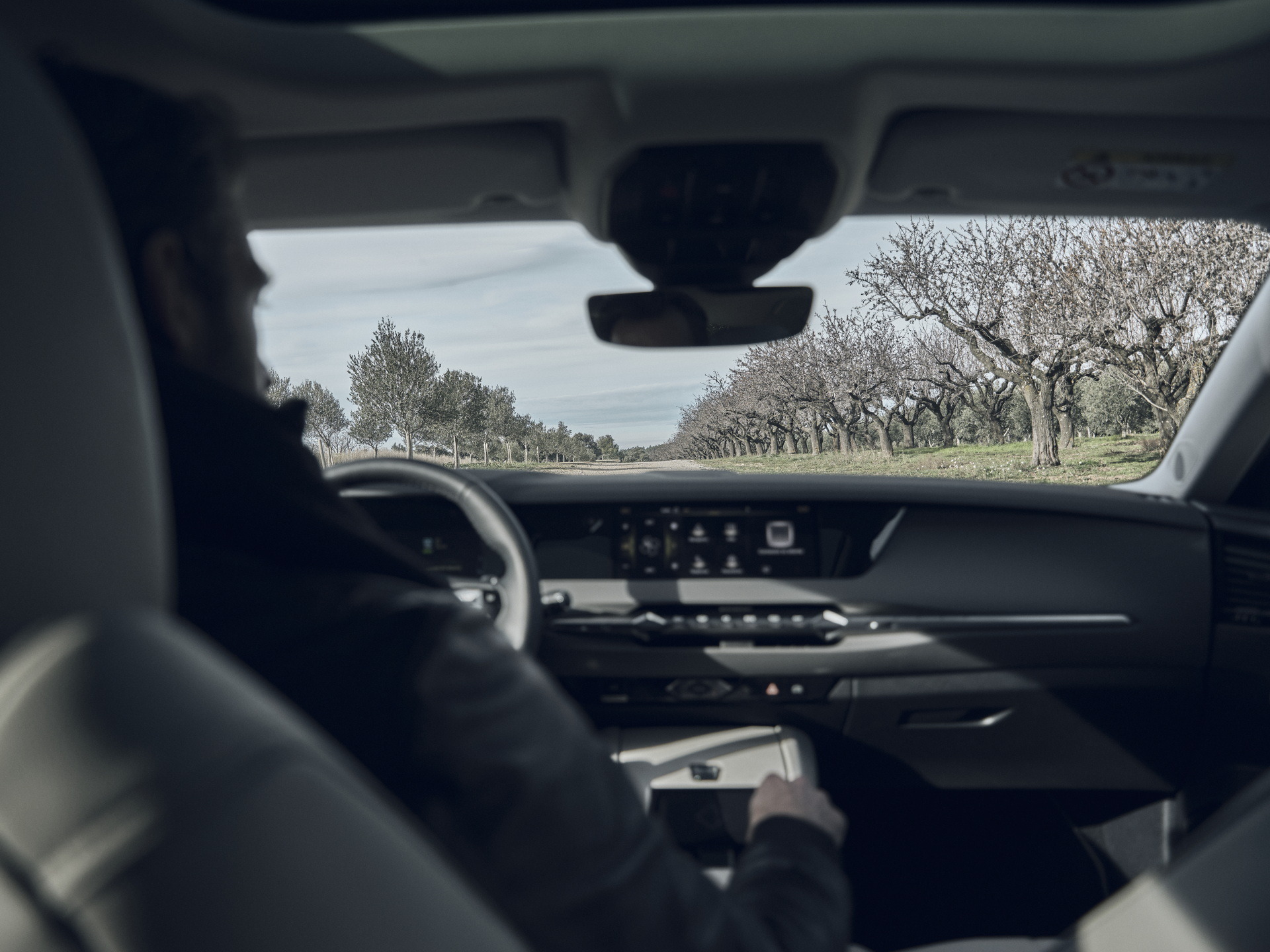 DS 4 Esprit De Voyage Interior (13)