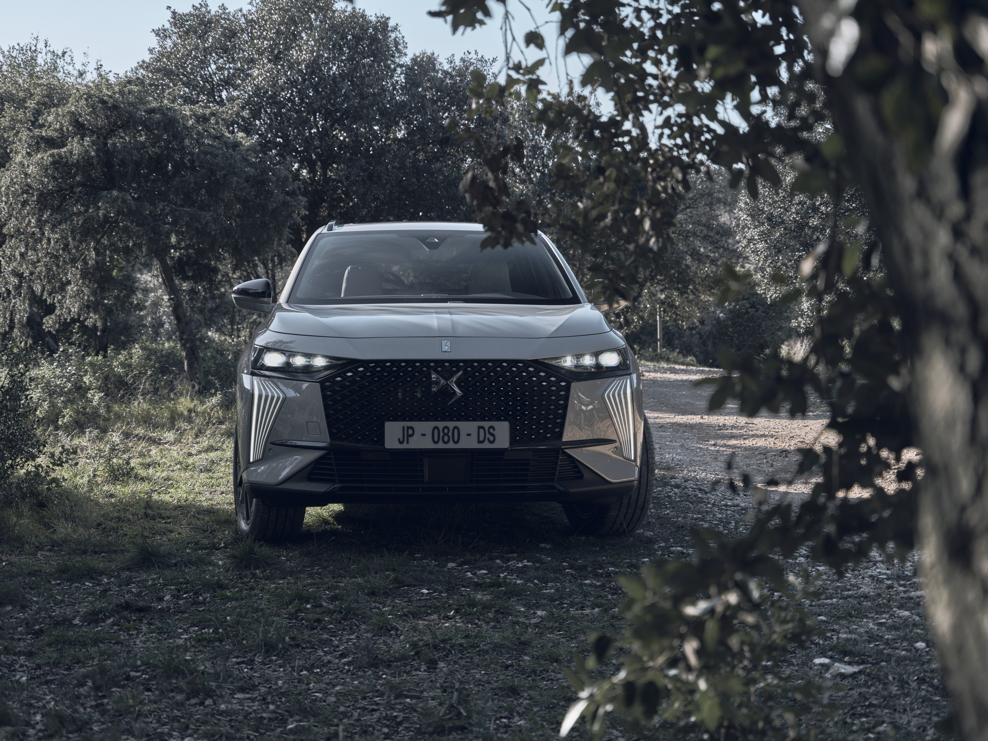 DS 7 Esprit De Voyage (4)