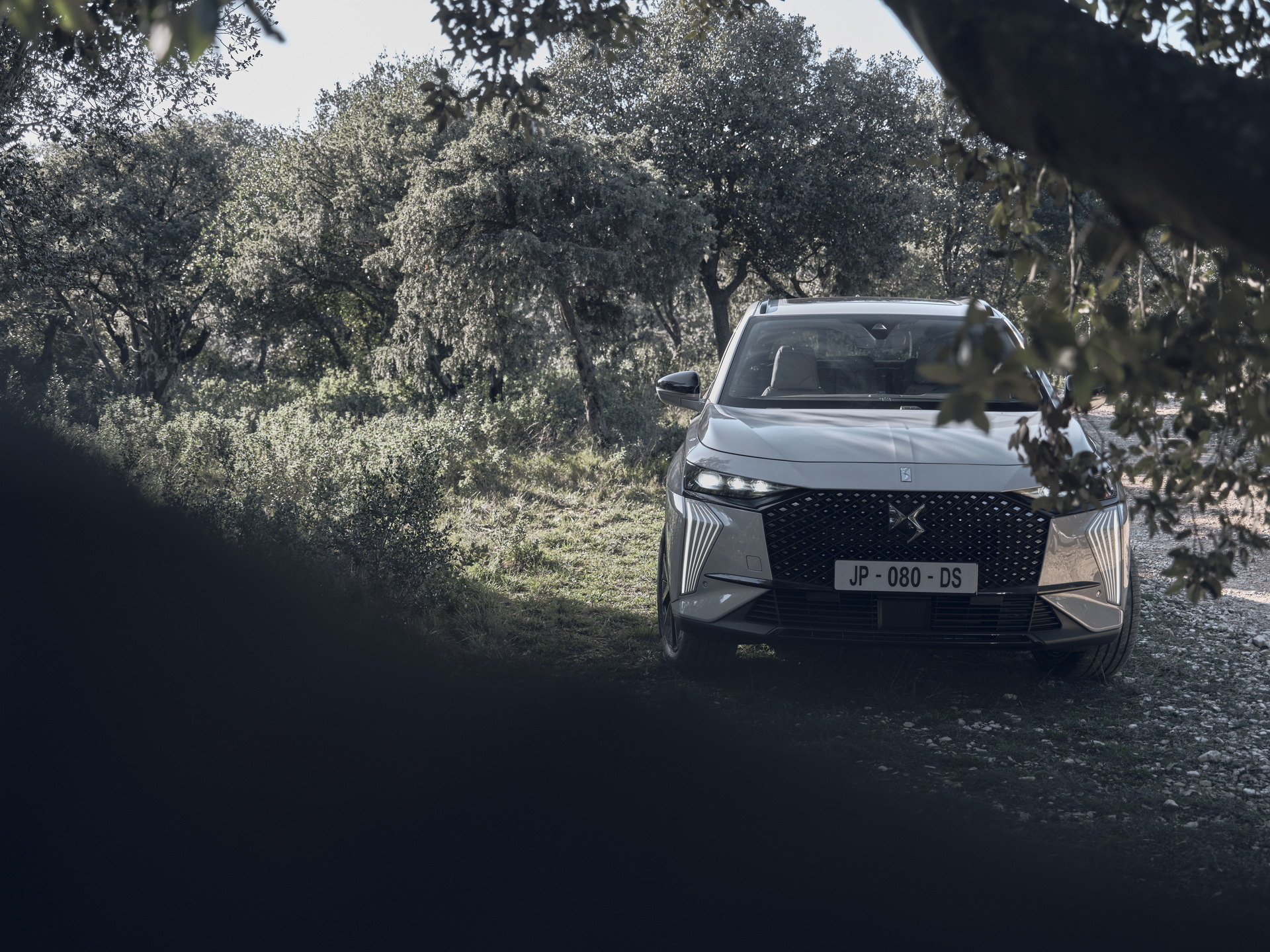 DS 7 Esprit De Voyage (5)