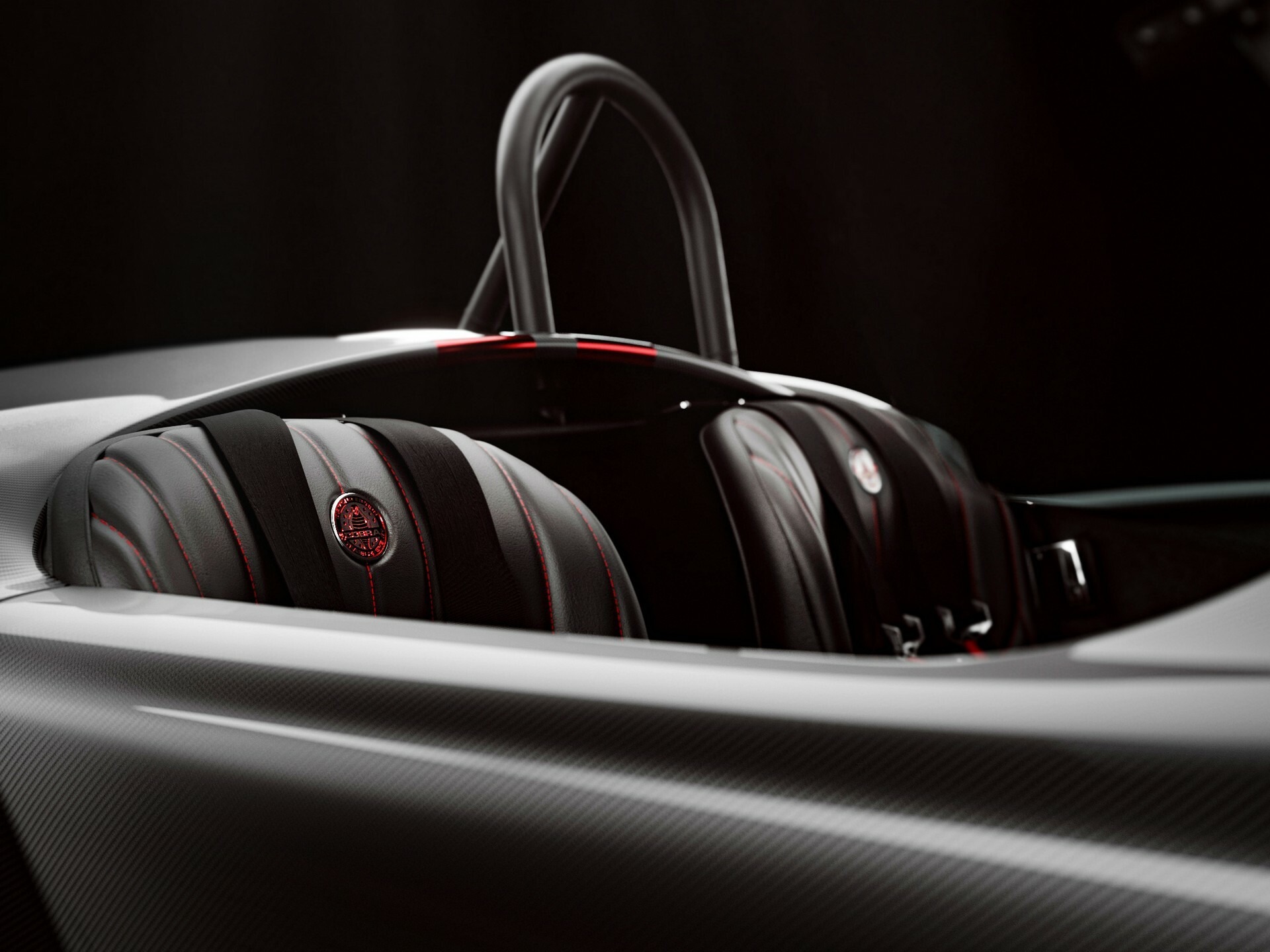 Diamond Edition Carbon Fiber Shelby Cobra Race Car 810 8