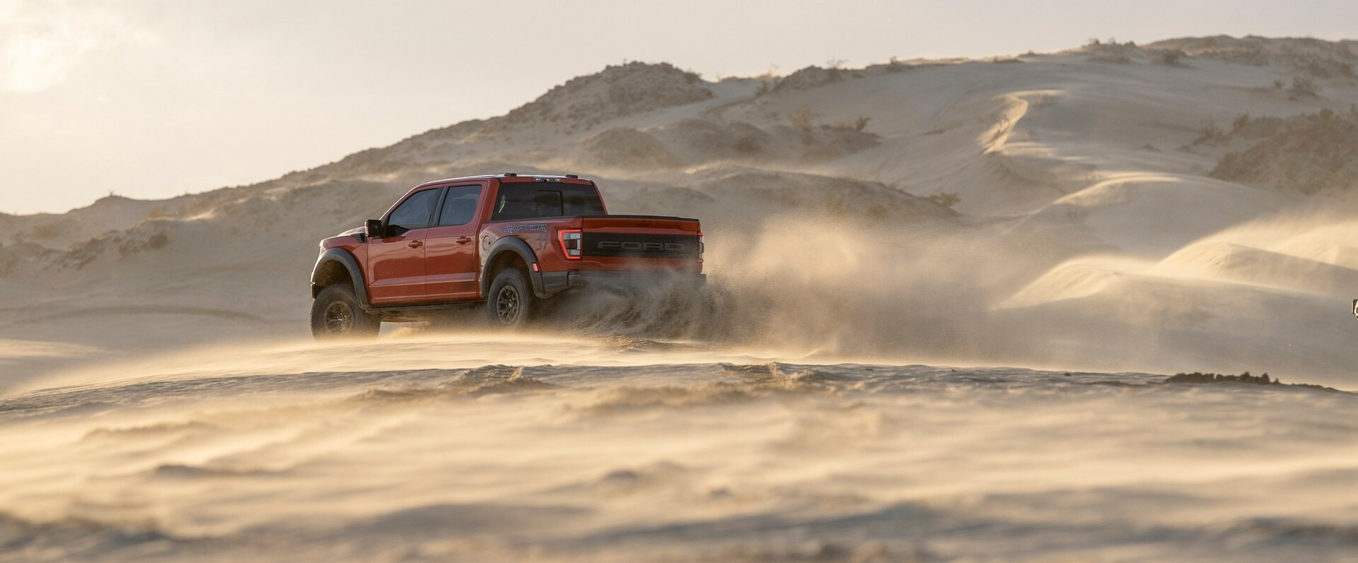 2021 Ford F-150 Raptor 205