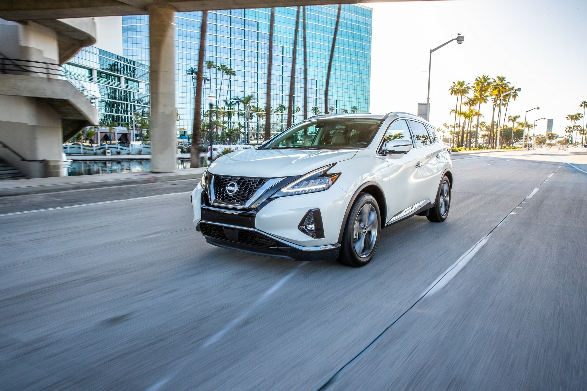 2024 Nissan Murano 831 4
