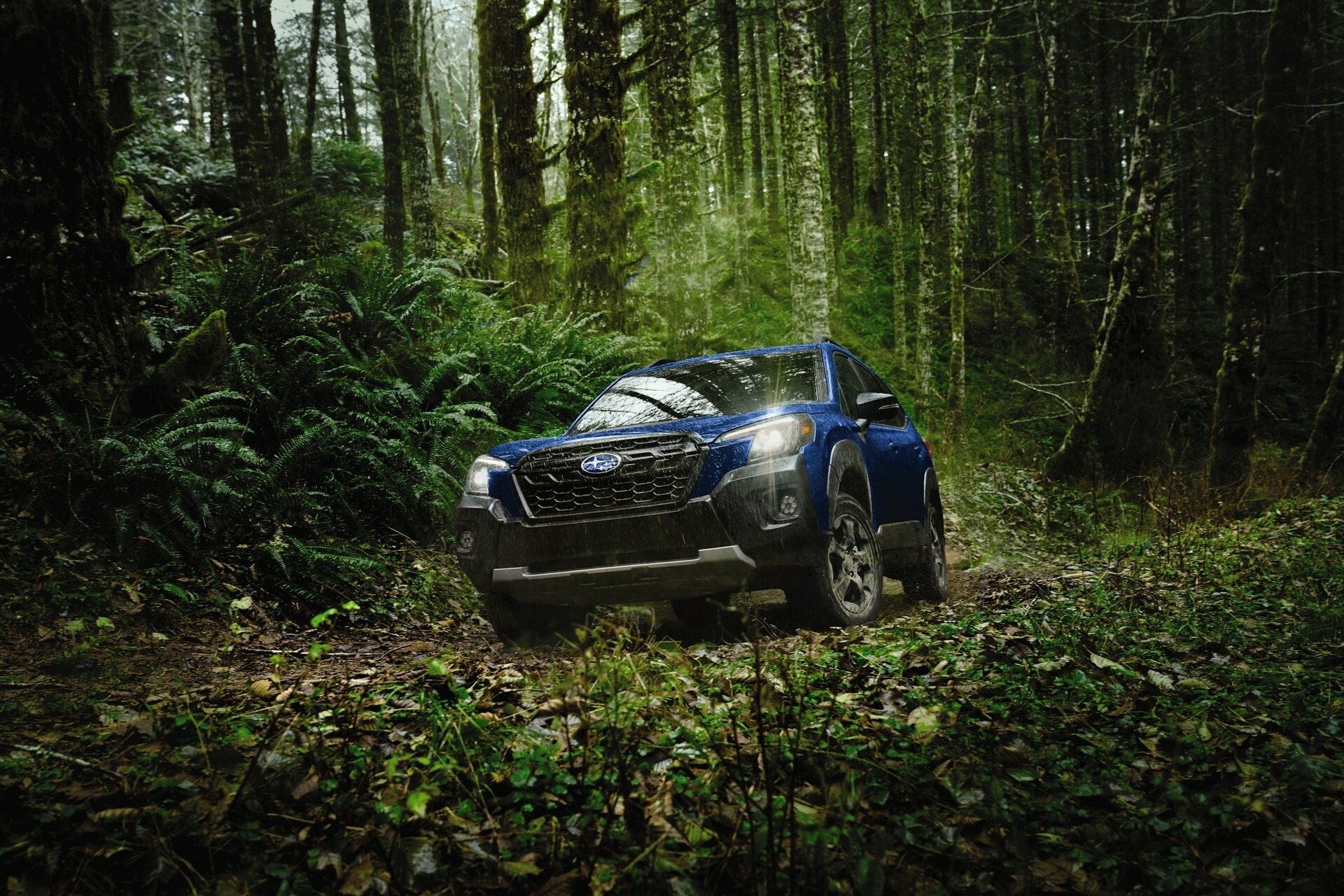 2024 Subaru Forester 810 13