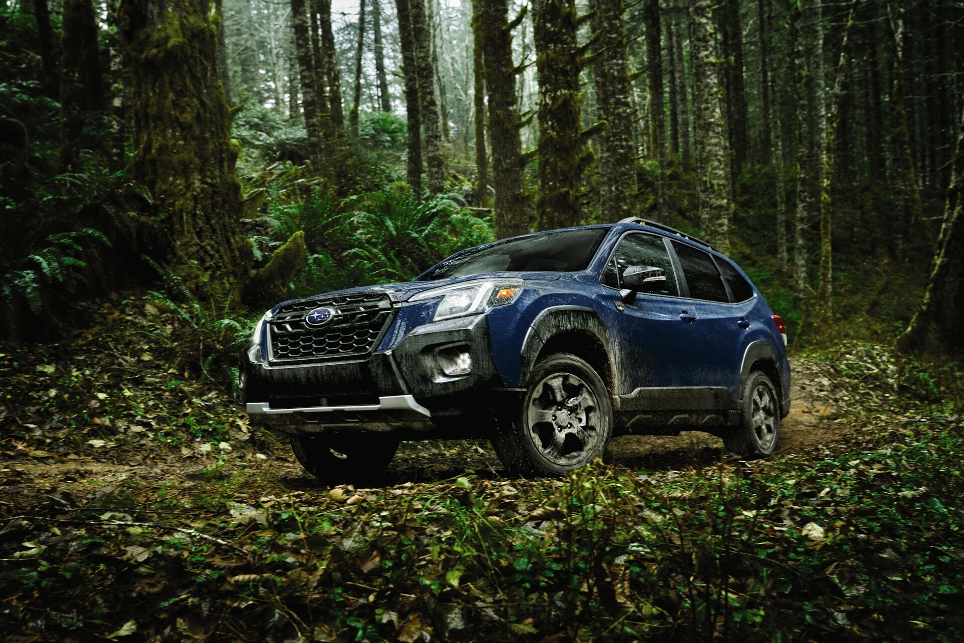 2024 Subaru Forester 810 14