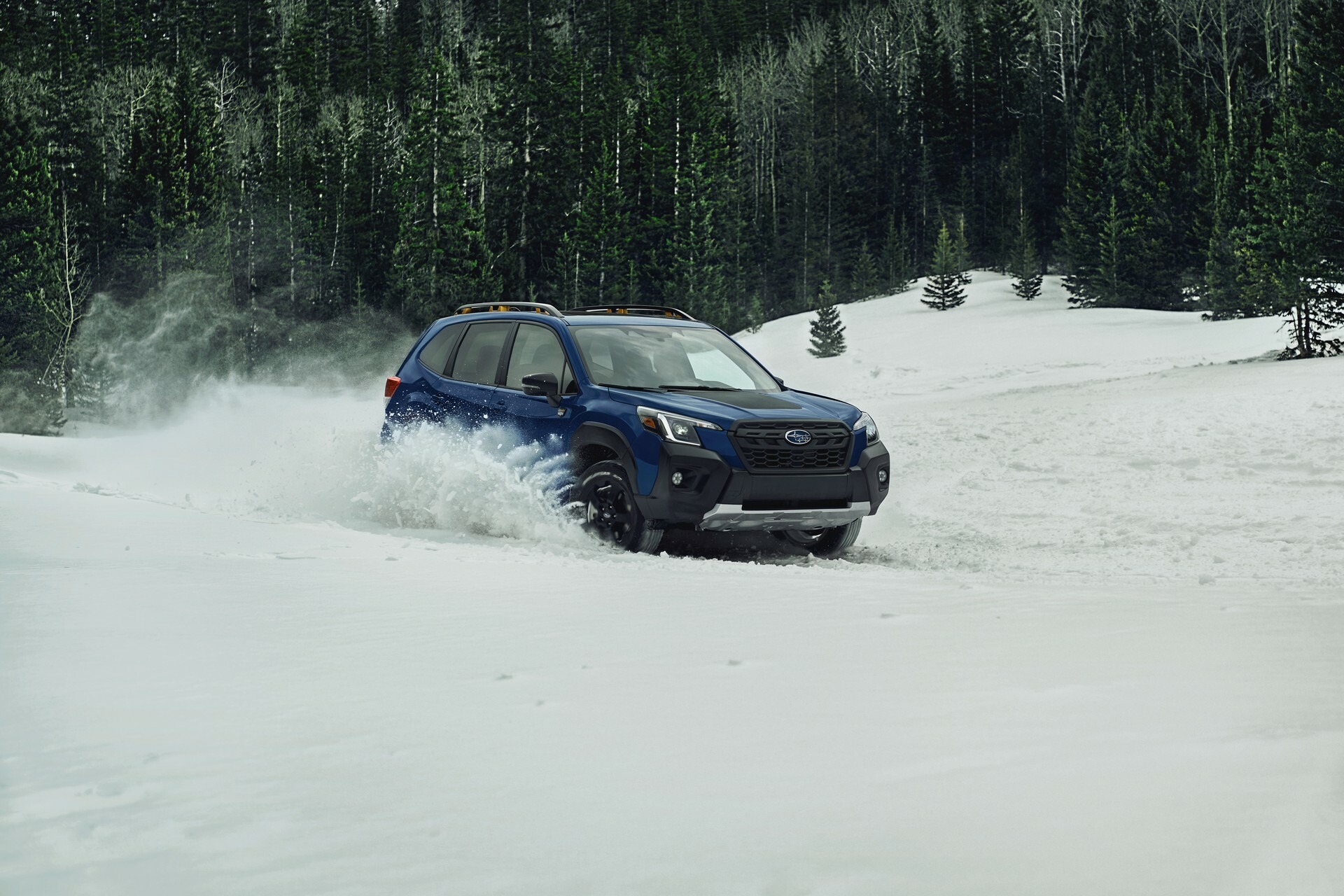 2024 Subaru Forester 810 15