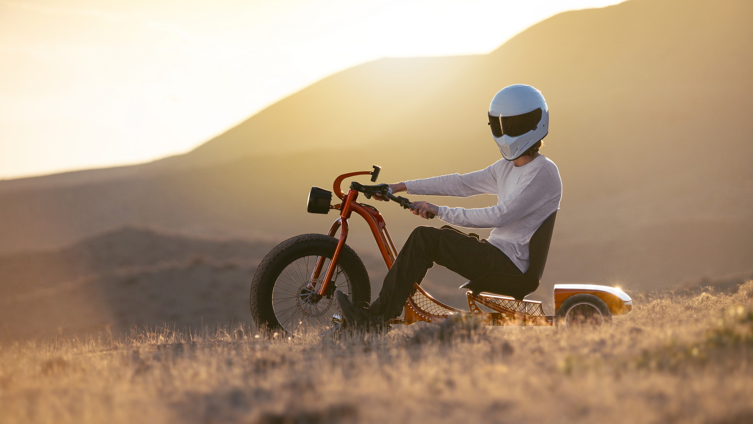 VOOK E-Trike 10
