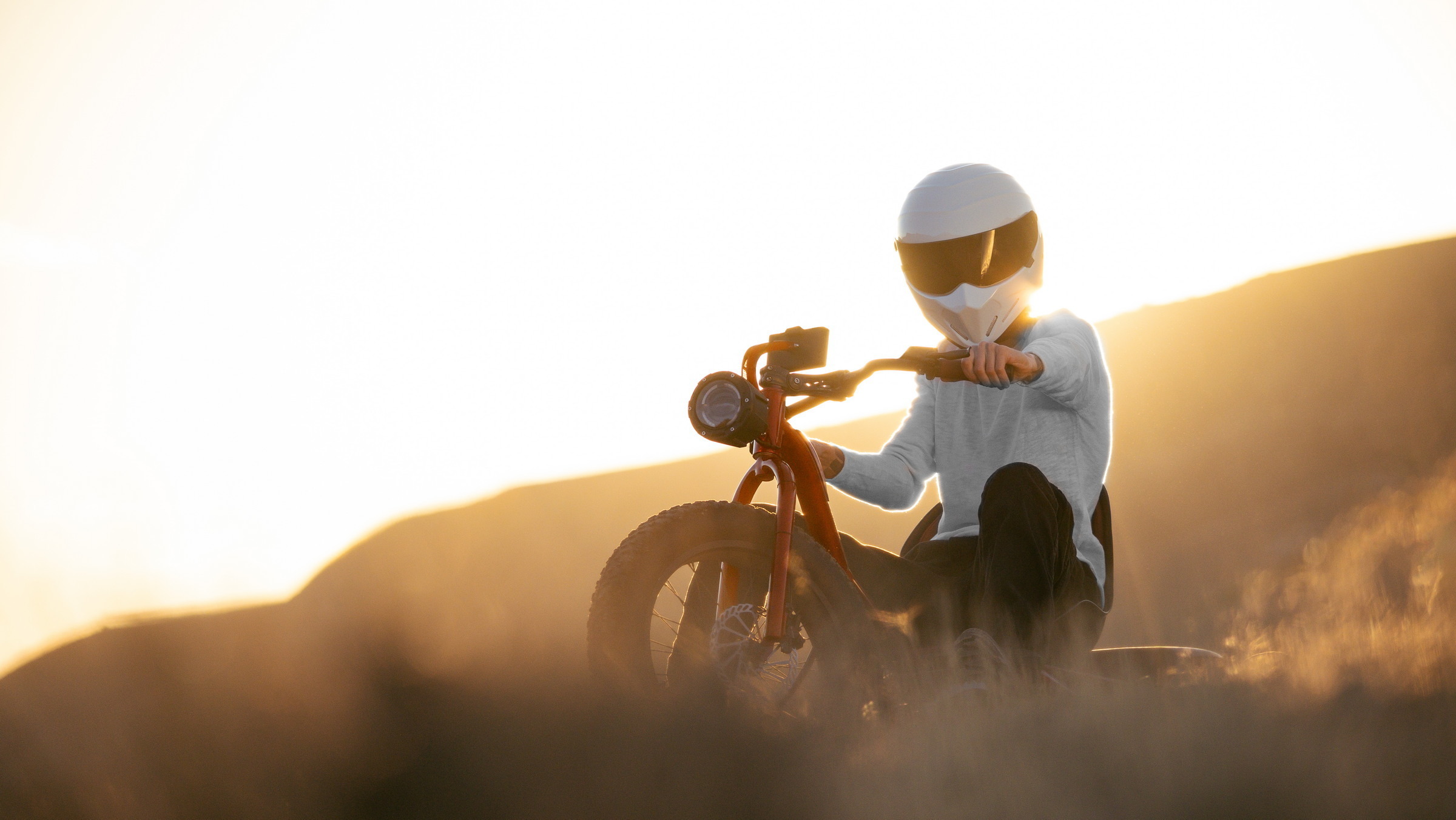 VOOK E-Trike 11