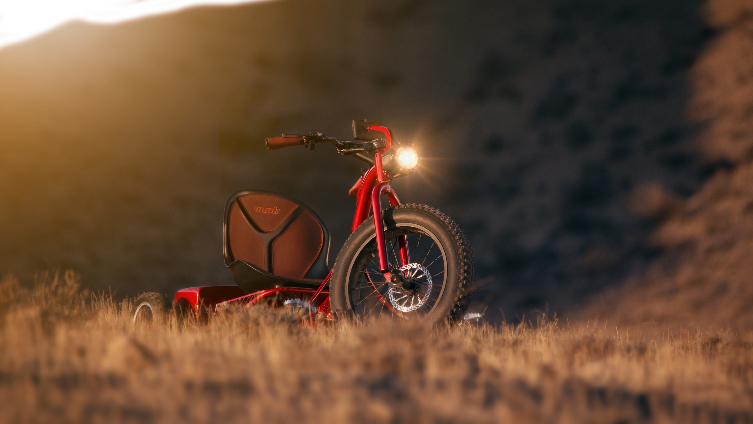 VOOK E-Trike 9