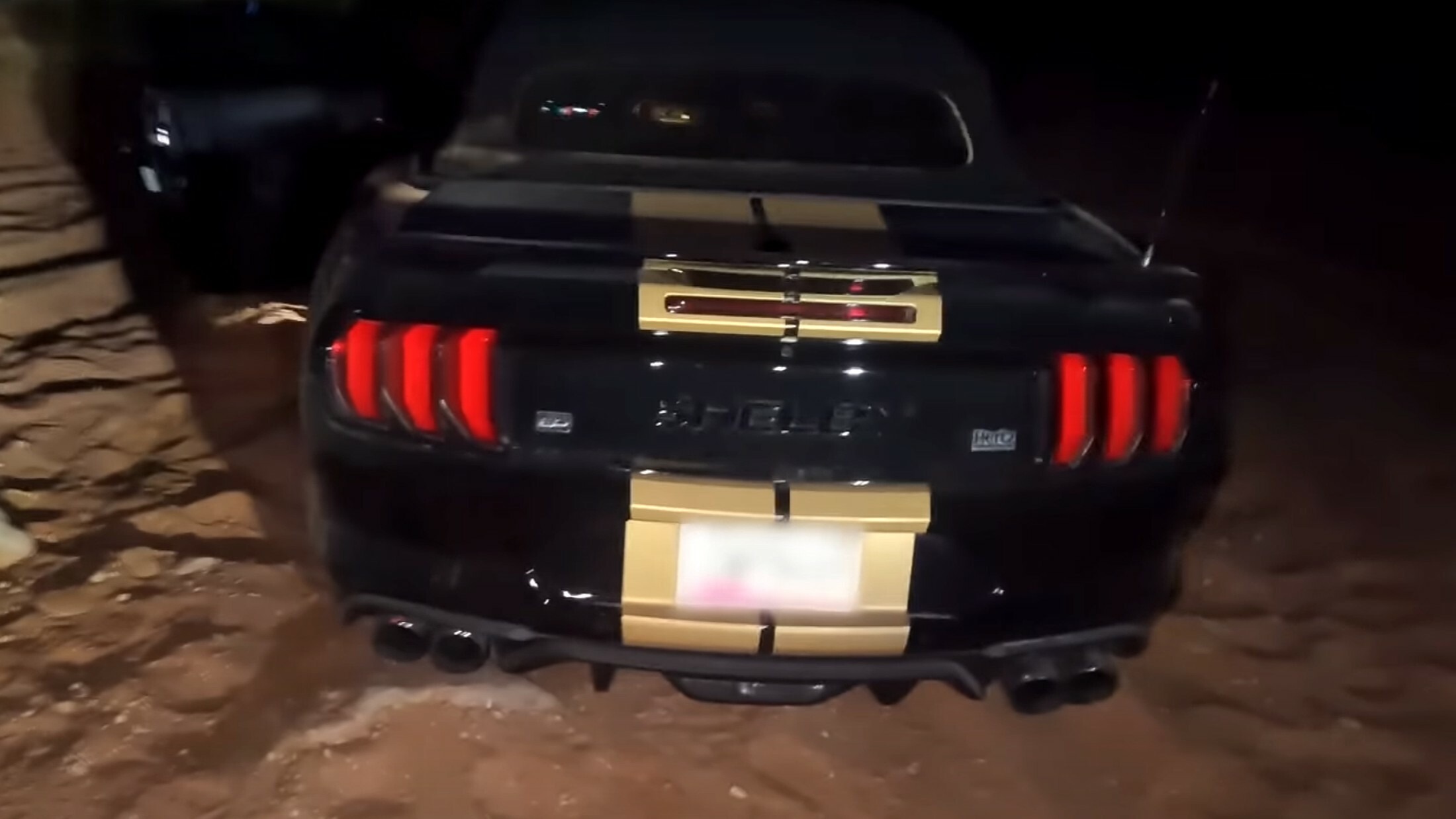 Shelby Mustang GT-H Stuck (3)