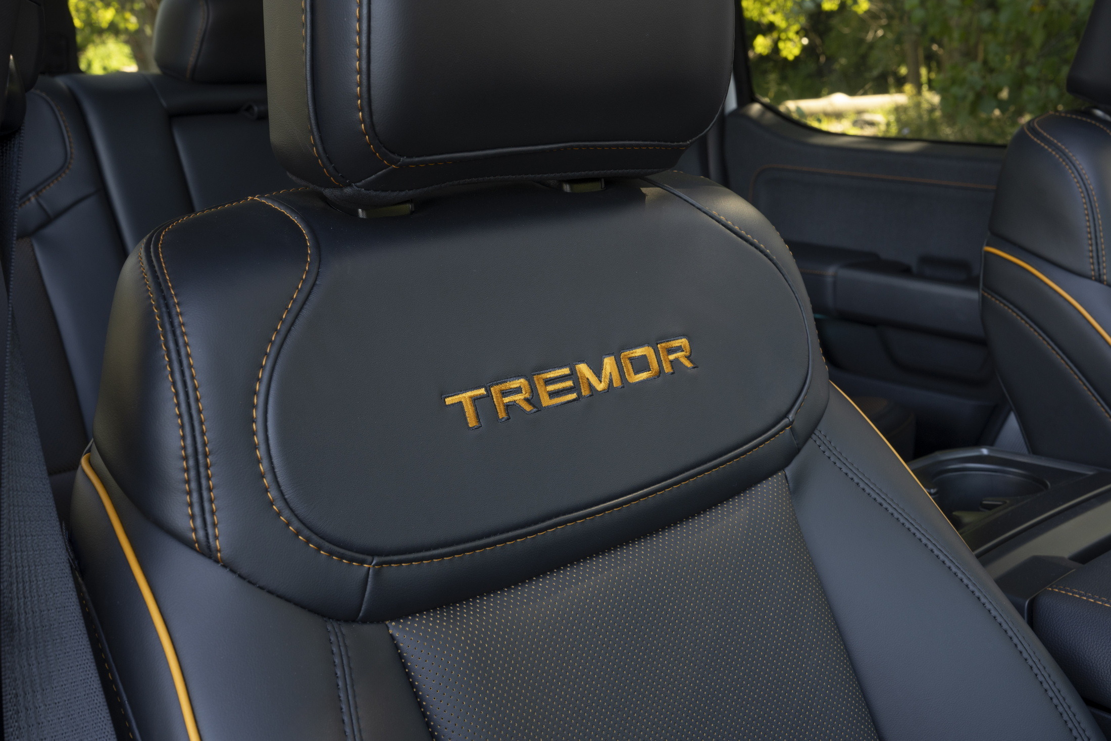 2024 Ford F-150 Tremor 11