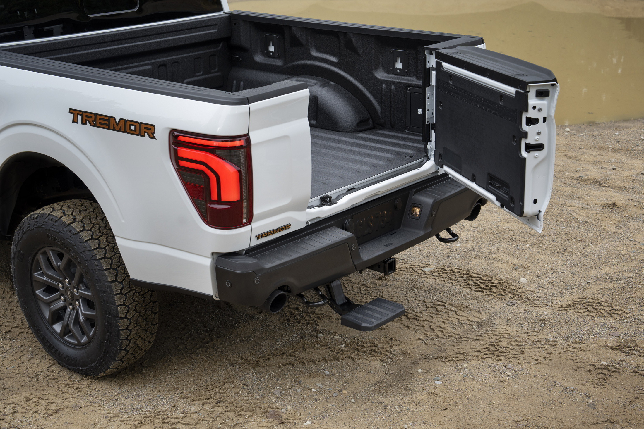 2024 Ford F-150 Tremor 13