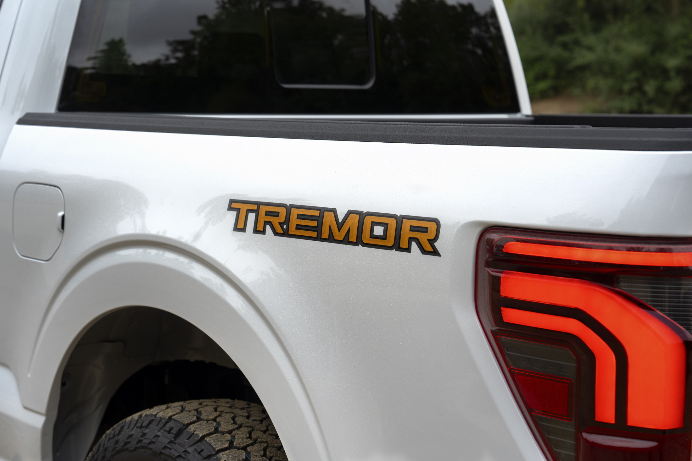 2024 Ford F-150 Tremor 15