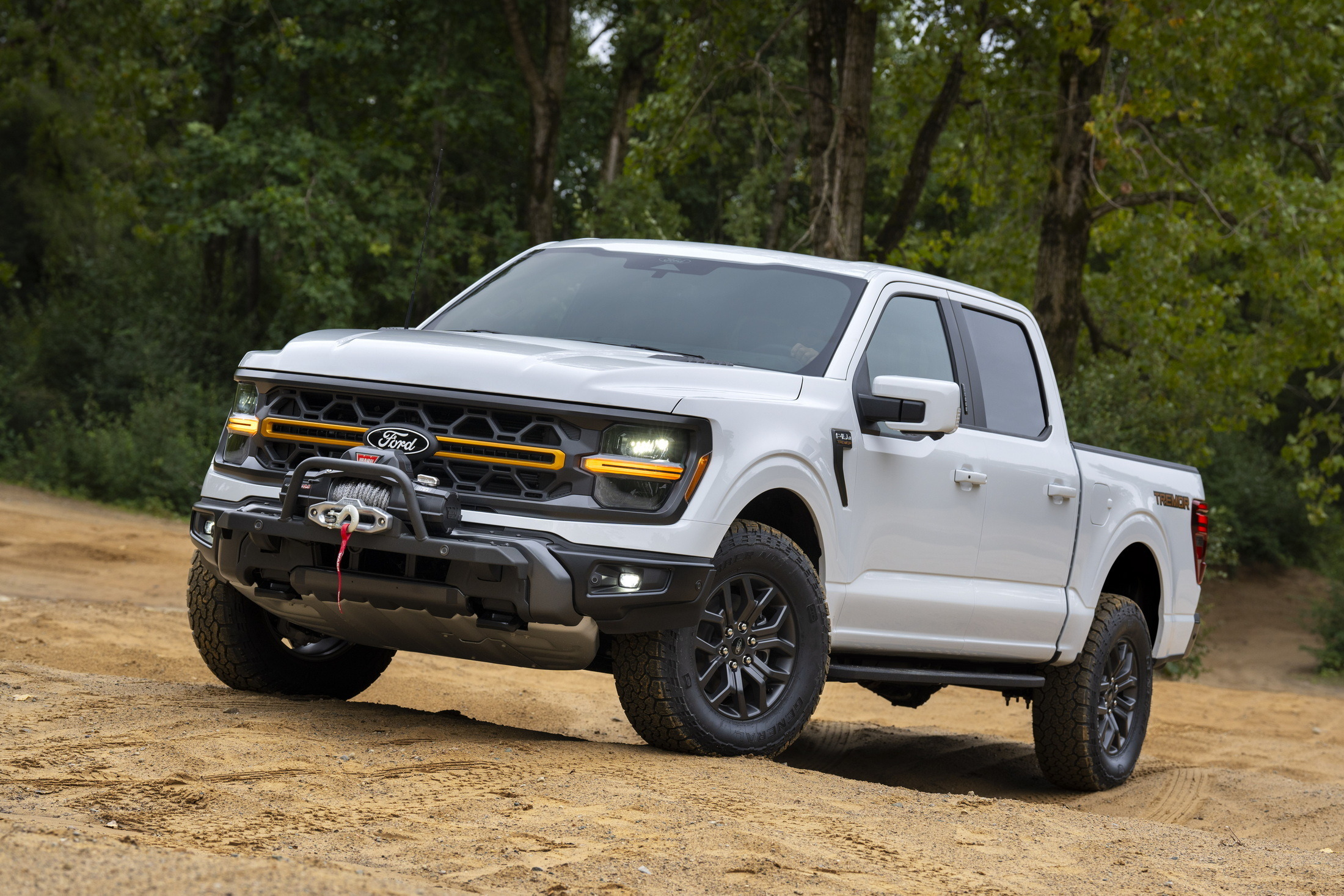 2024 Ford F-150 Tremor 2