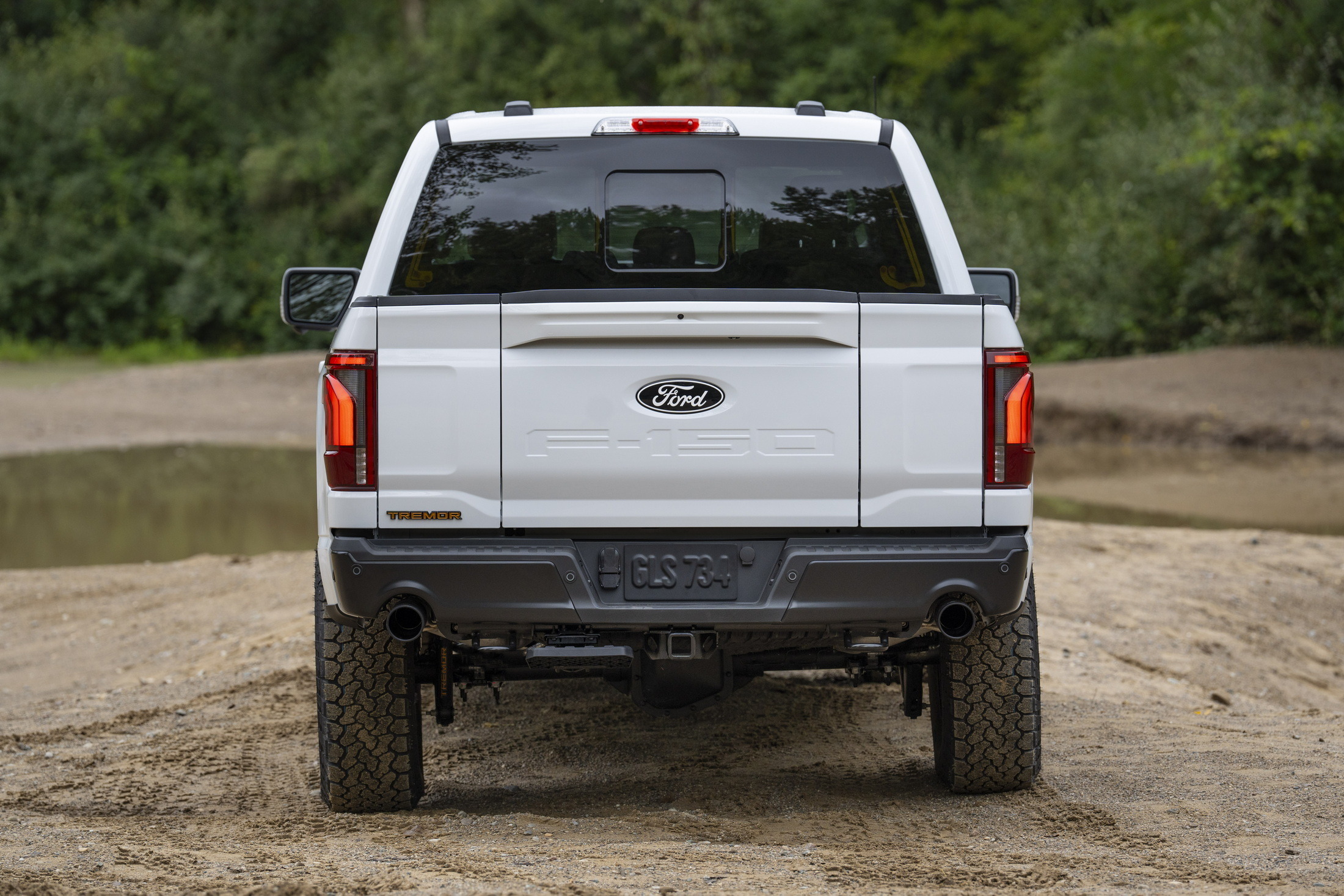 2024 Ford F-150 Tremor 4