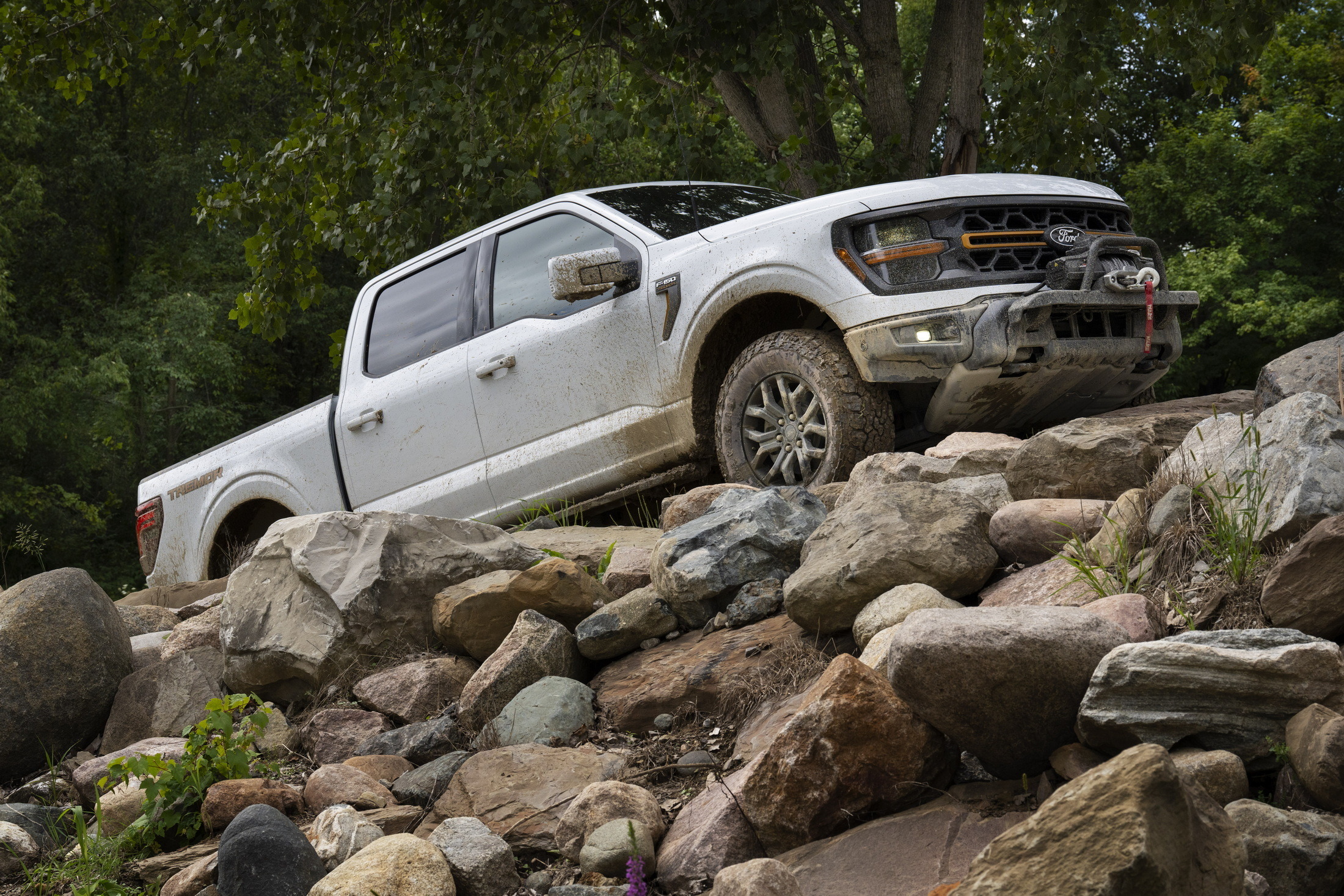 2024 Ford F-150 Tremor 7