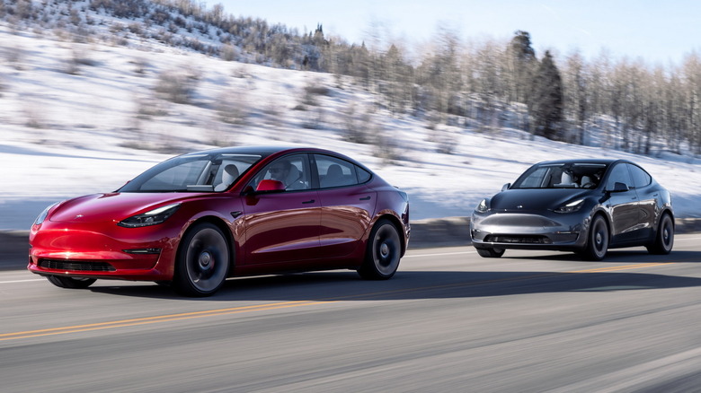 2022 Tesla Group Shots elon mode 3
