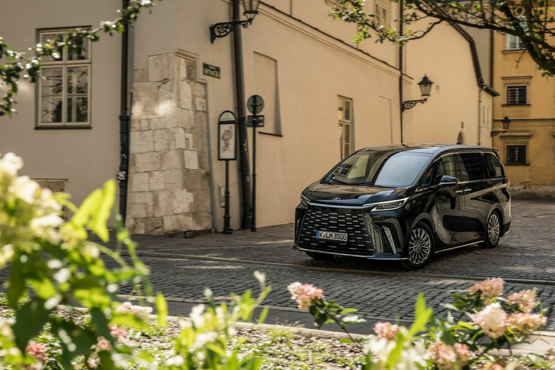 2024 Lexus LM - 118