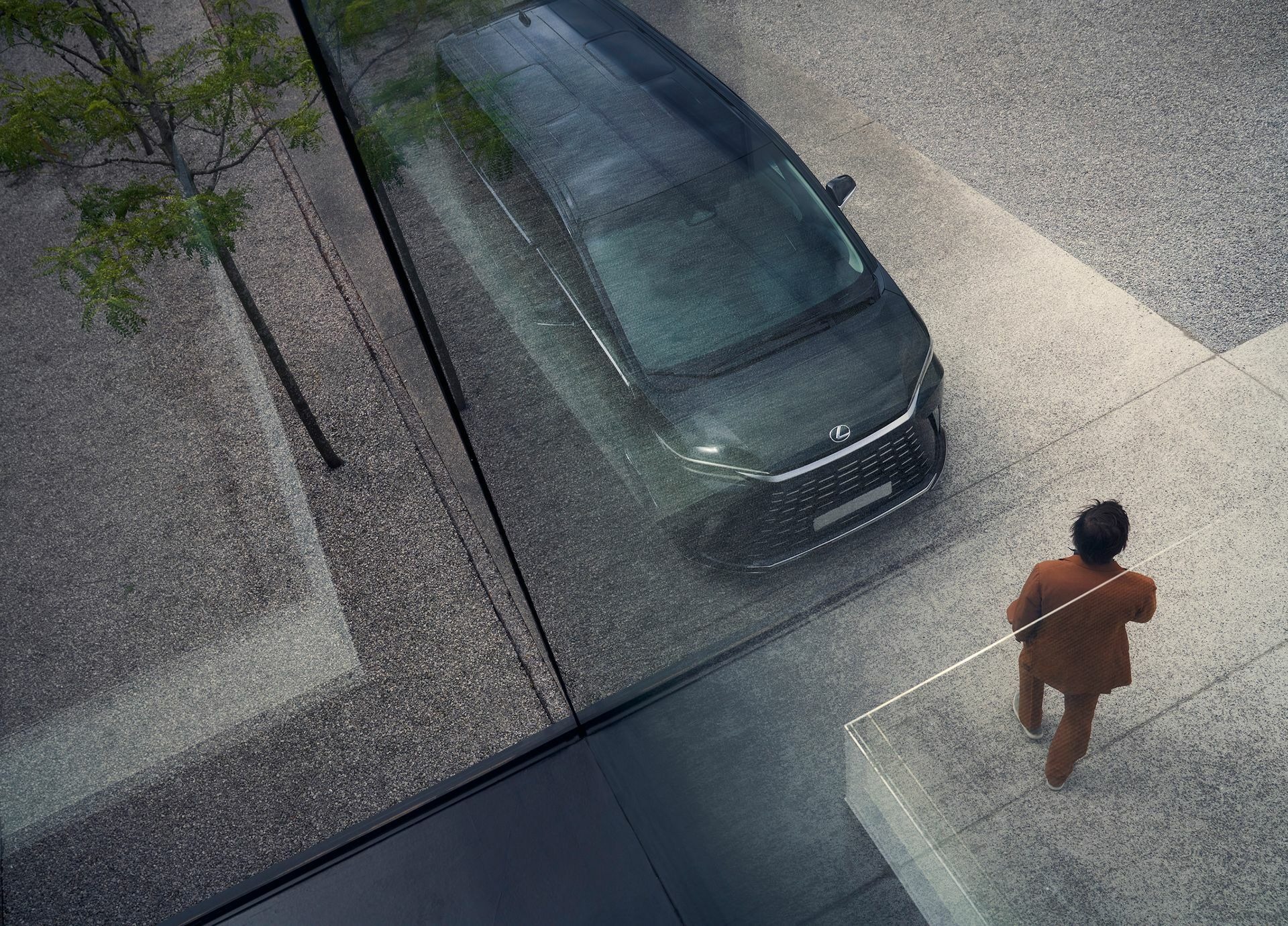 2024 Lexus LM - 201