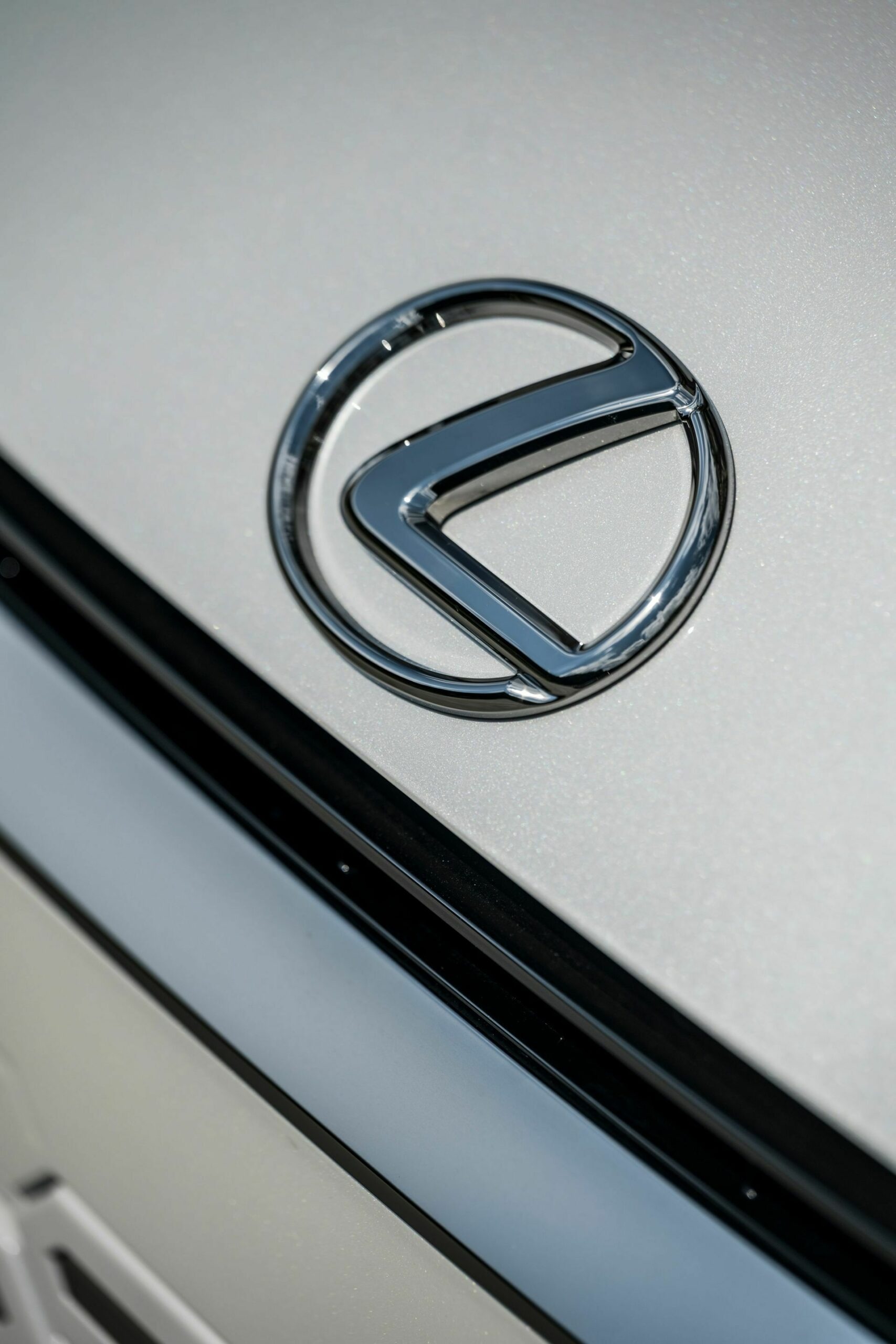 2024 Lexus LM - 69