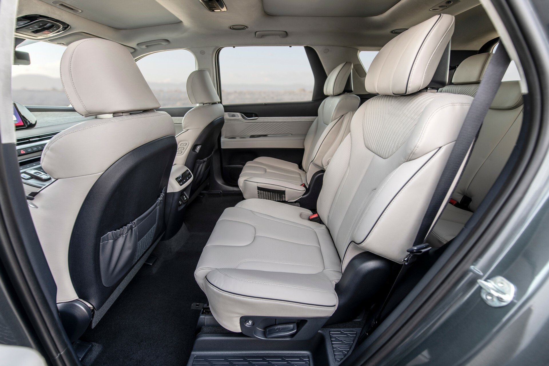 2024 Hyundai Palisade 1031 100