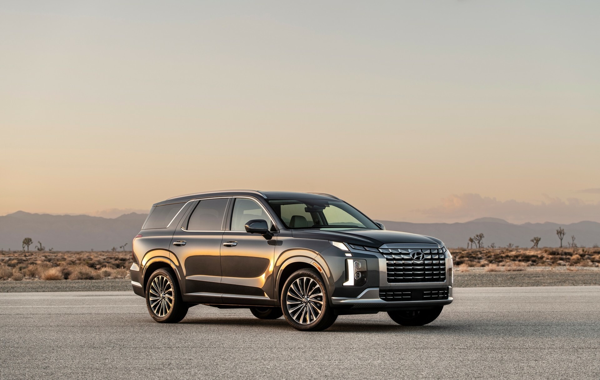 2024 Hyundai Palisade 1031 108