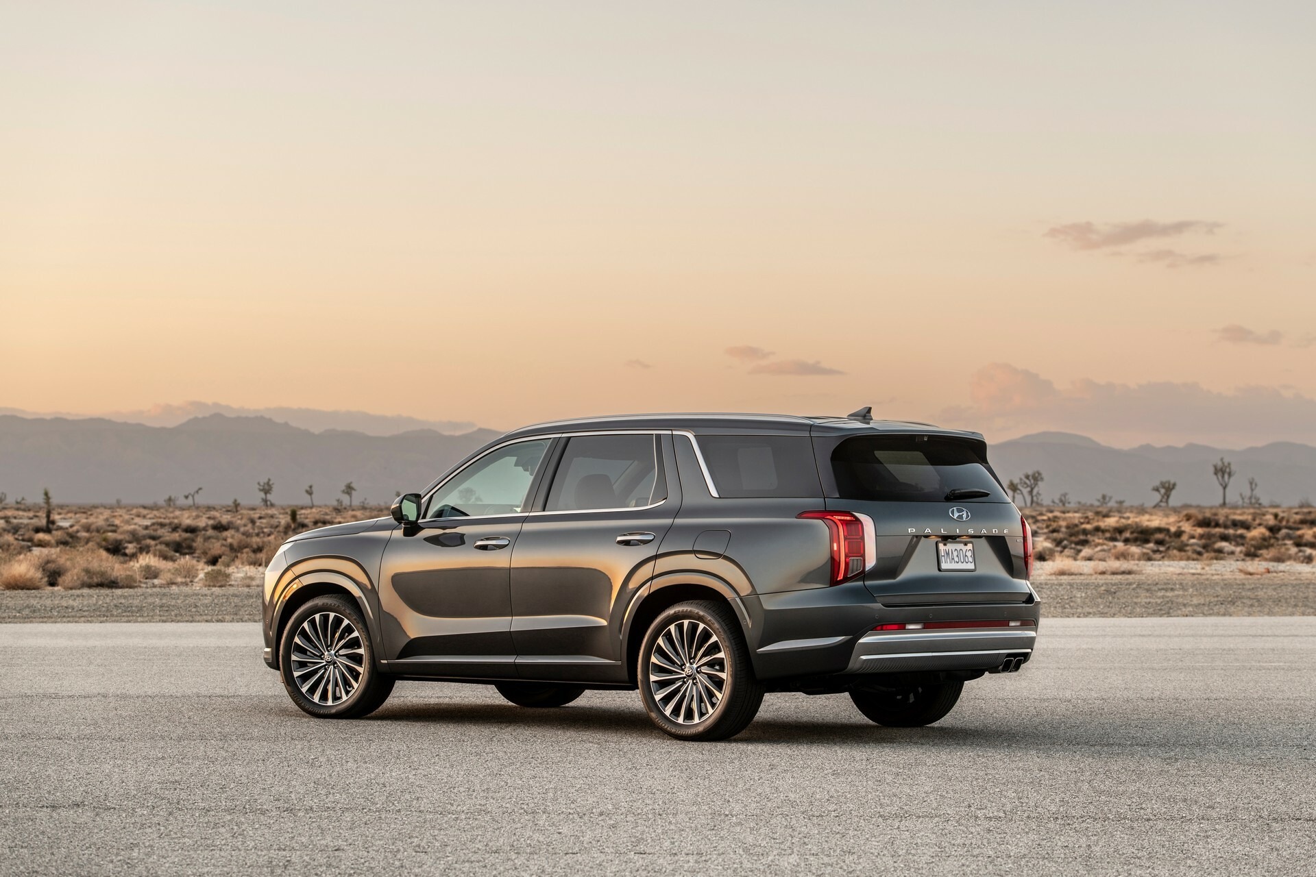 2024 Hyundai Palisade 1031 109