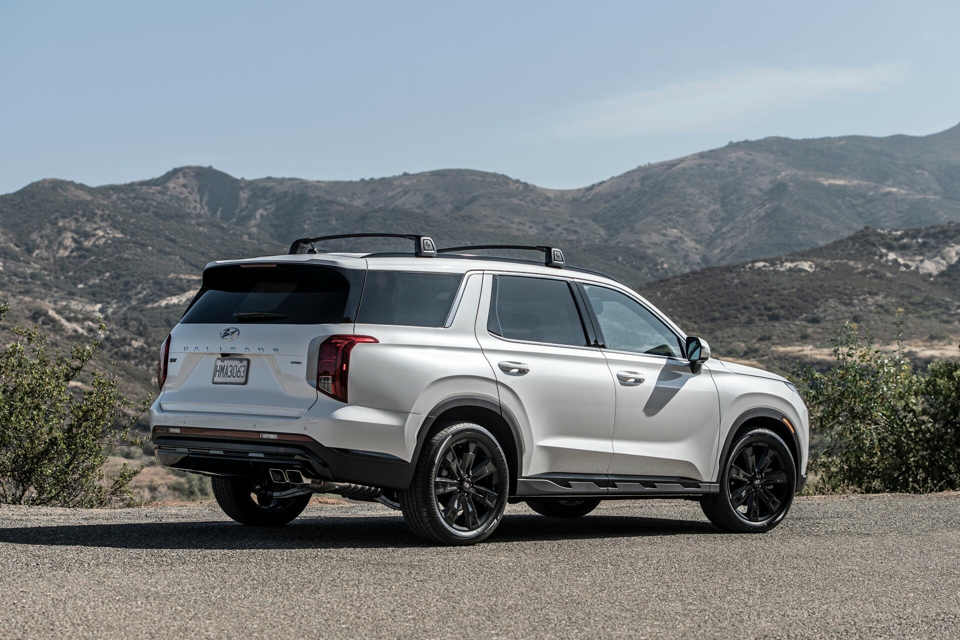 2024 Hyundai Palisade 1031 110