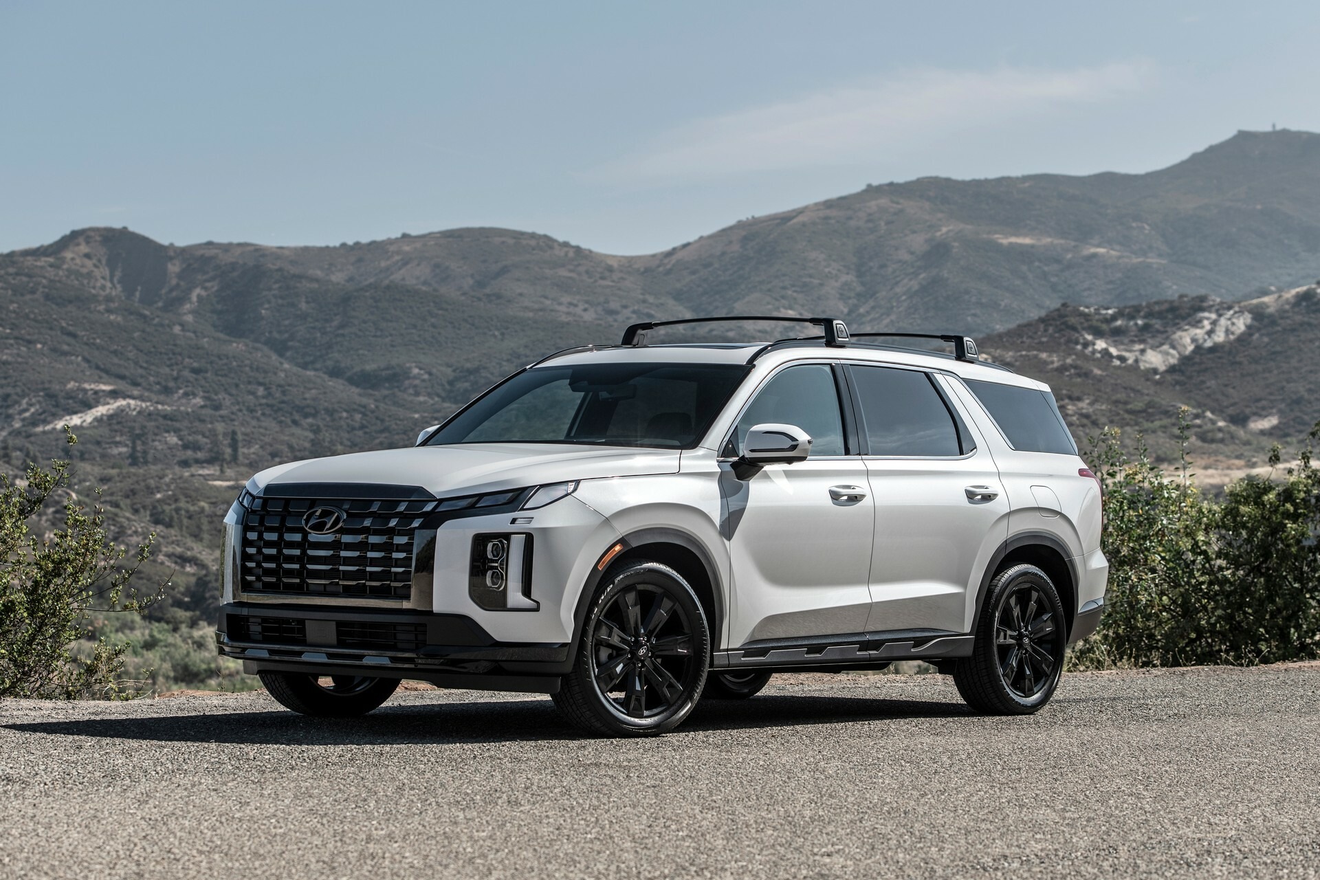 2024 Hyundai Palisade 1031 111