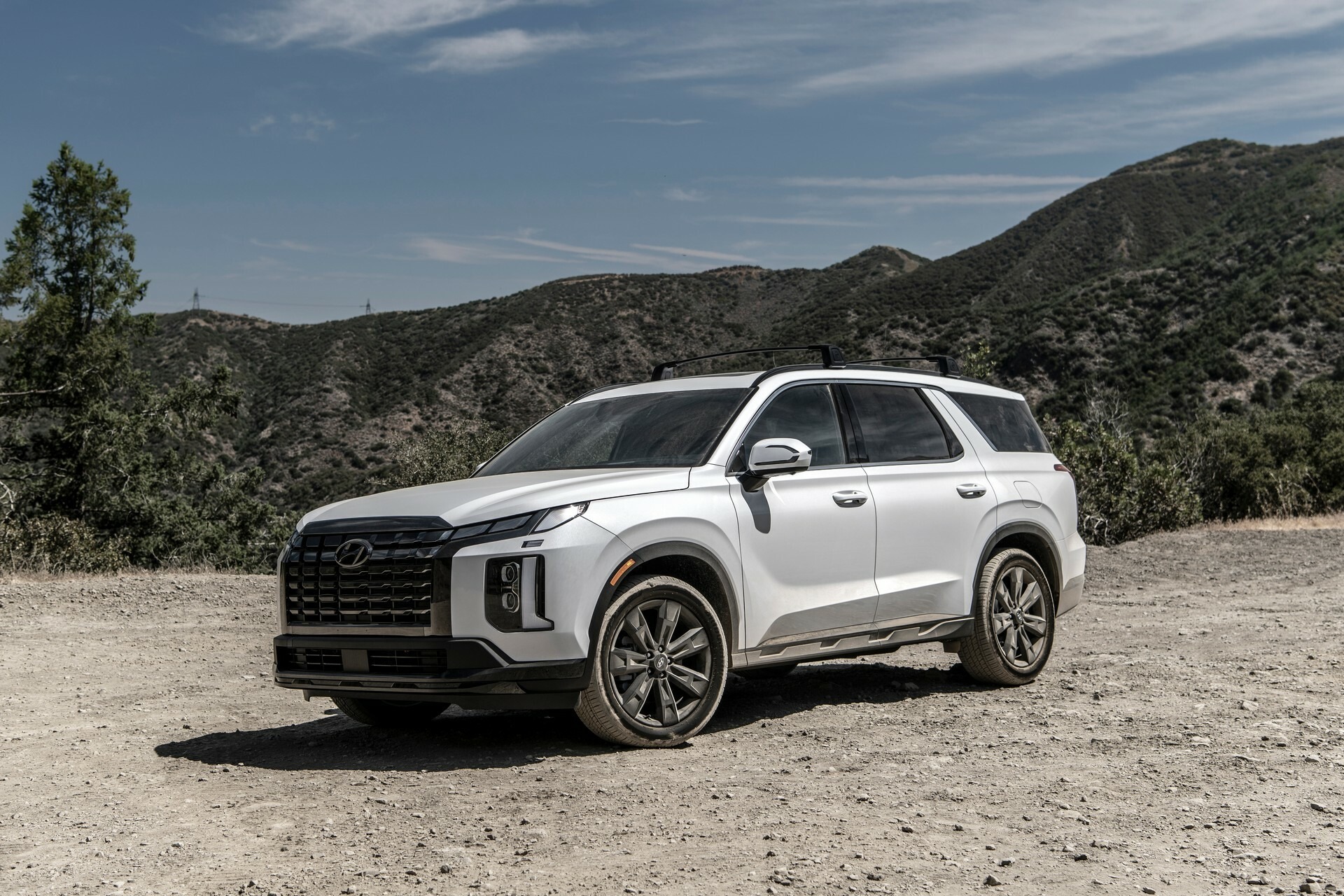 2024 Hyundai Palisade 1031 113