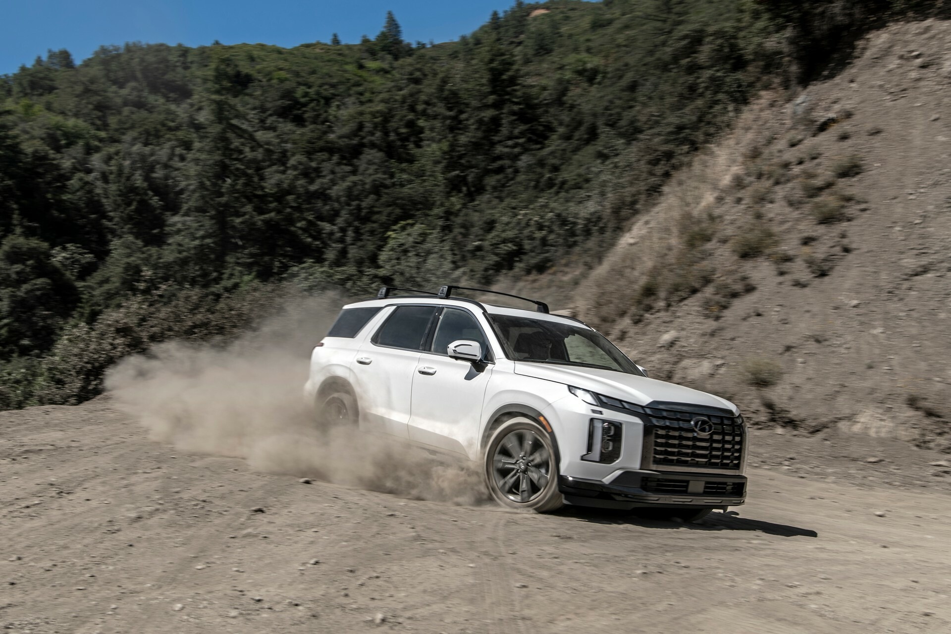 2024 Hyundai Palisade 1031 114