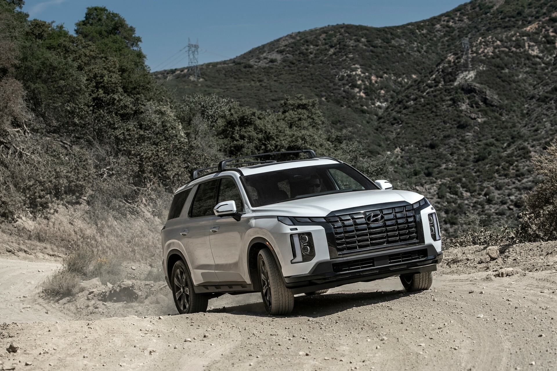 2024 Hyundai Palisade 1031 117