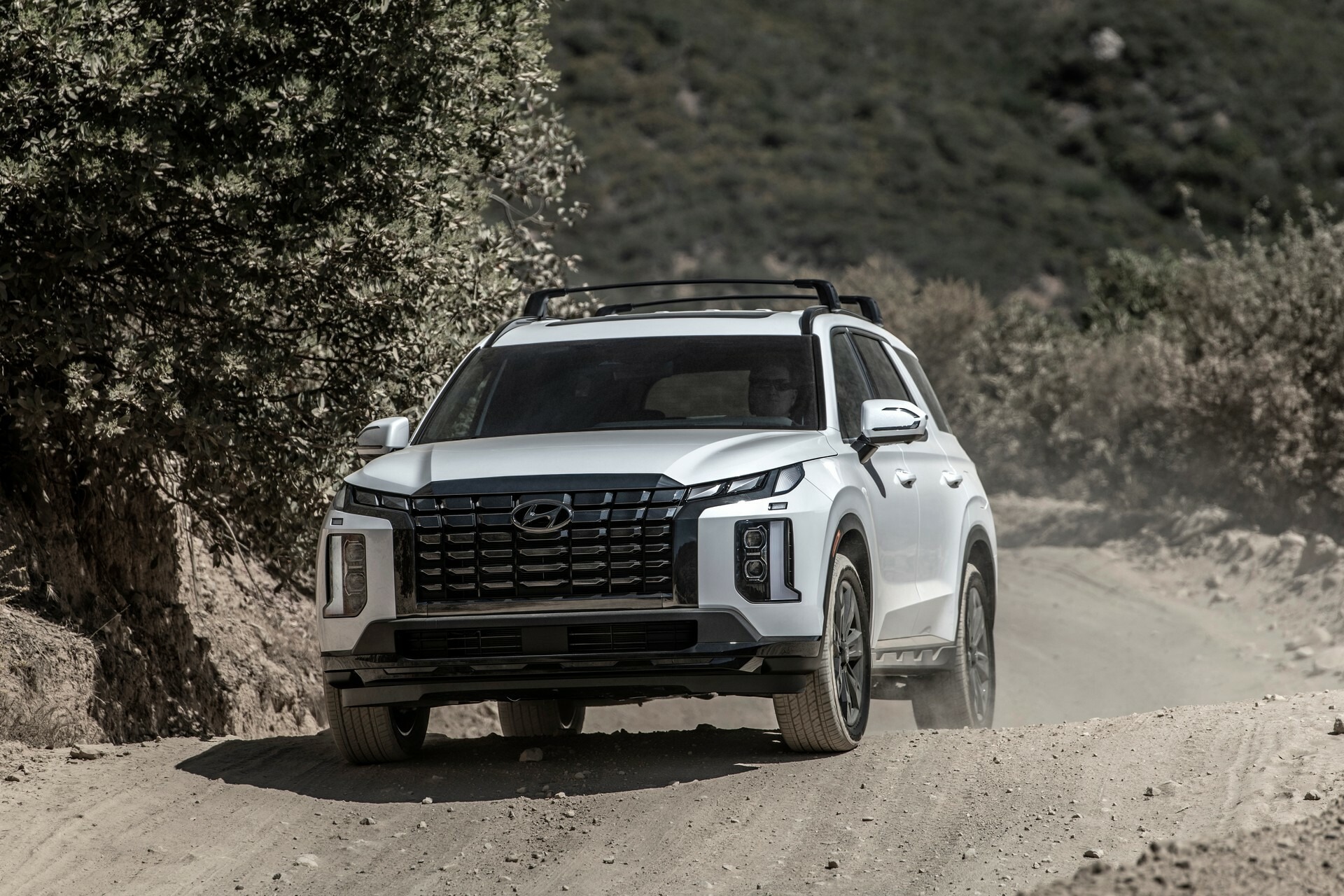 2024 Hyundai Palisade 1031 118