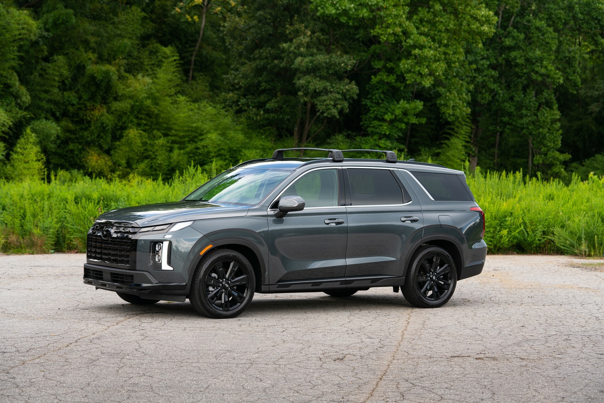 2024 Hyundai Palisade 1031 119