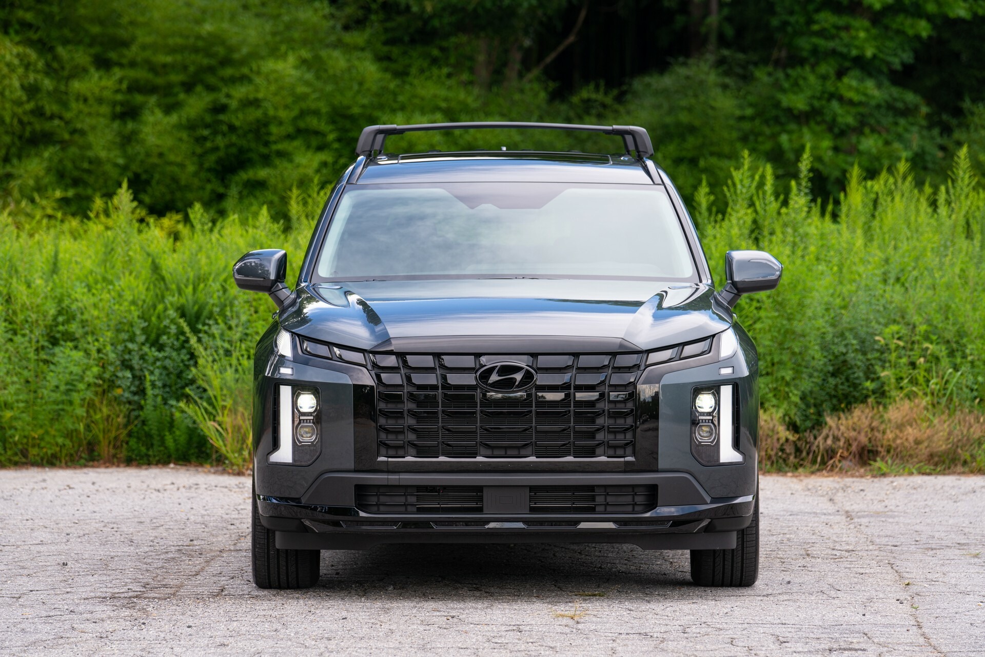2024 Hyundai Palisade 1031 120