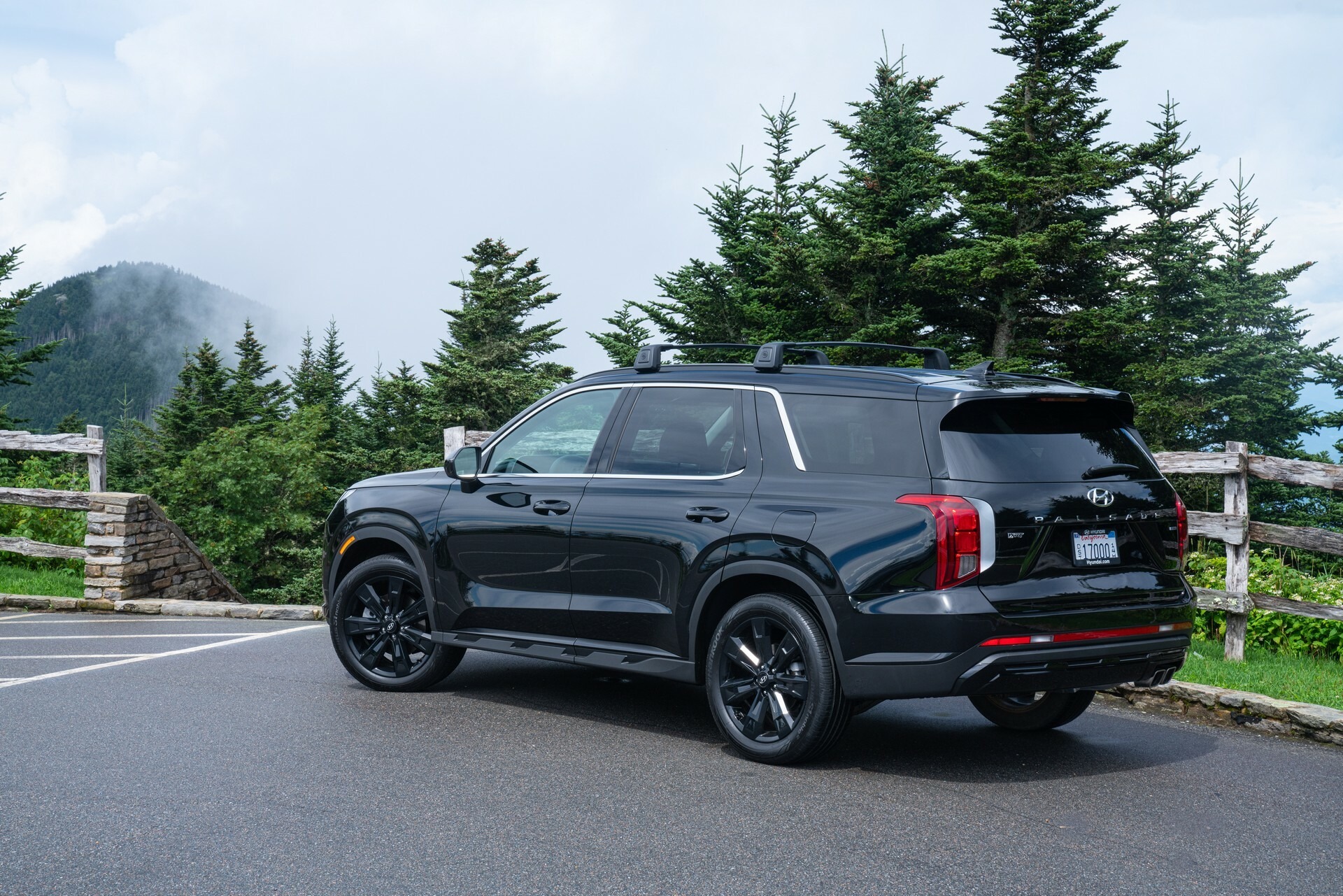 2024 Hyundai Palisade 1031 121
