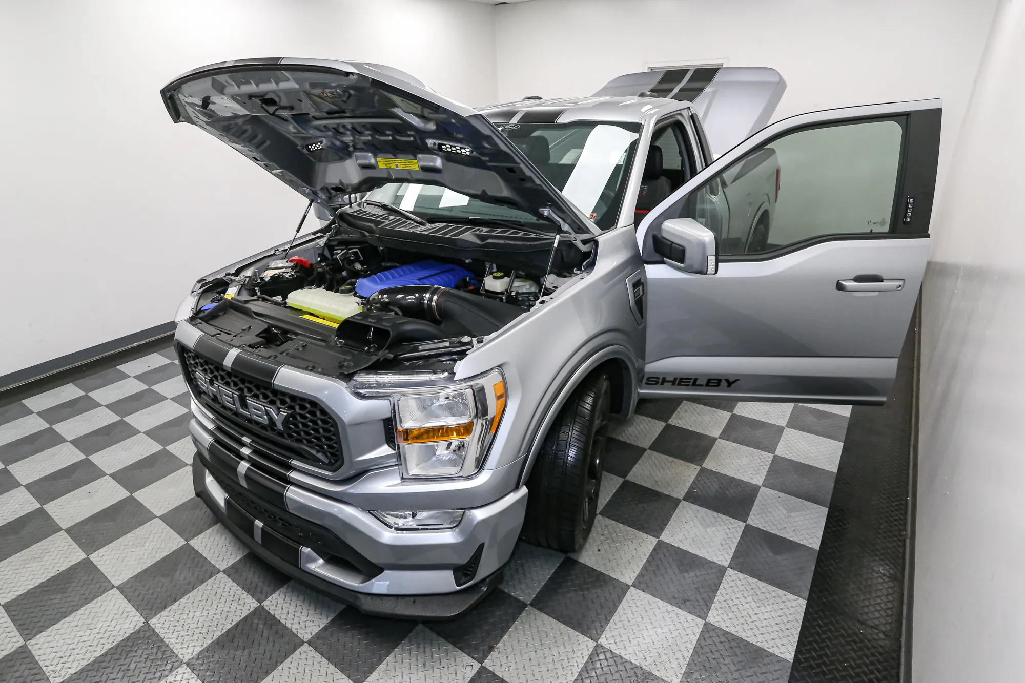 Shelby F-150 Super Snake 10
