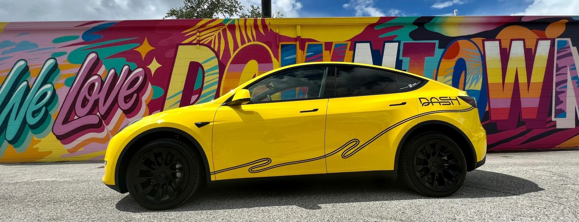 DASH Tesla Model Y - 1