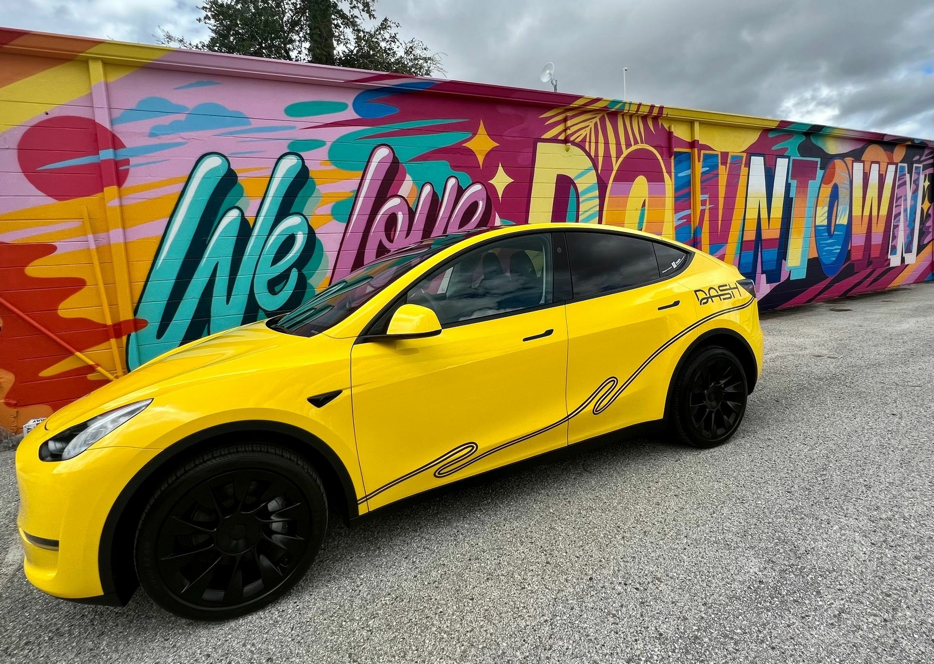 DASH Tesla Model Y - 3