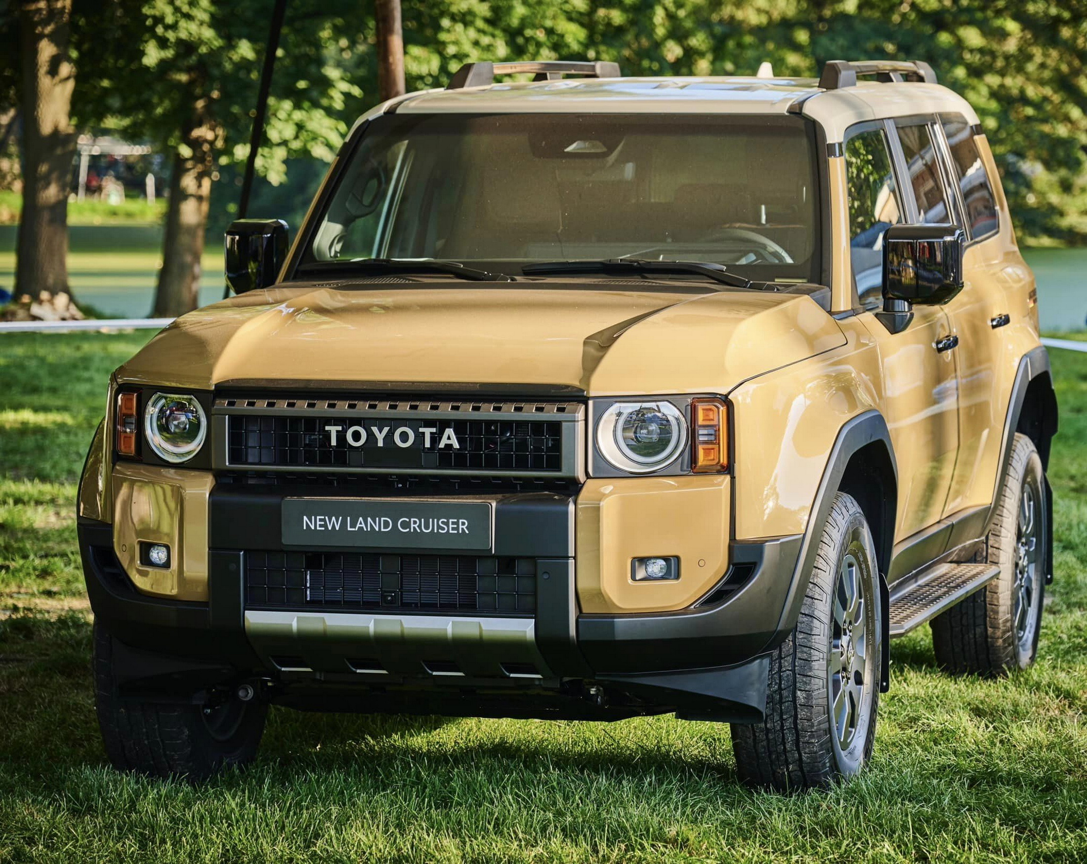 Toyota Land Cruiser - 20th bush taxi meeting (1)