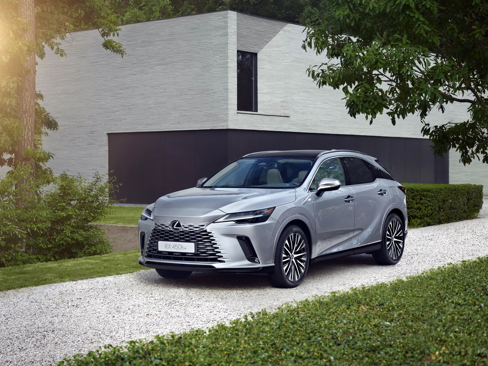 2023 Lexus RX 22