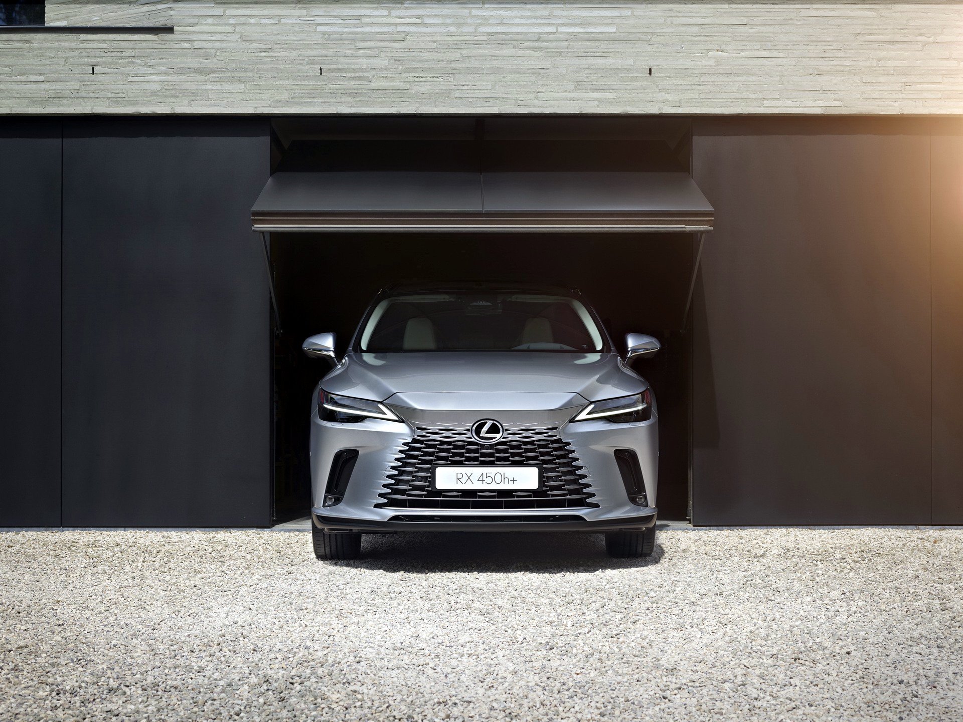 2023 Lexus RX 24