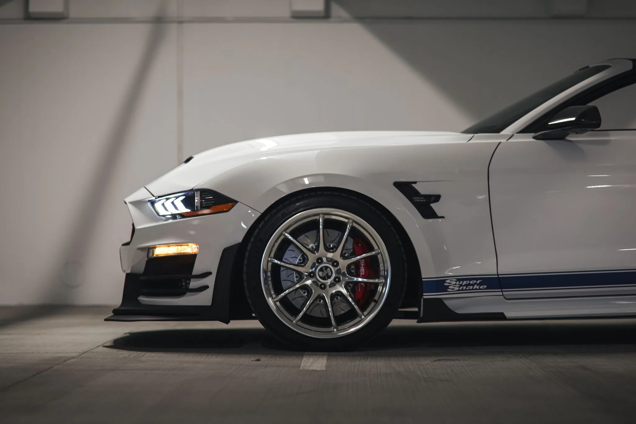 Ford Mustang Shelby Super Snake Speedster 11