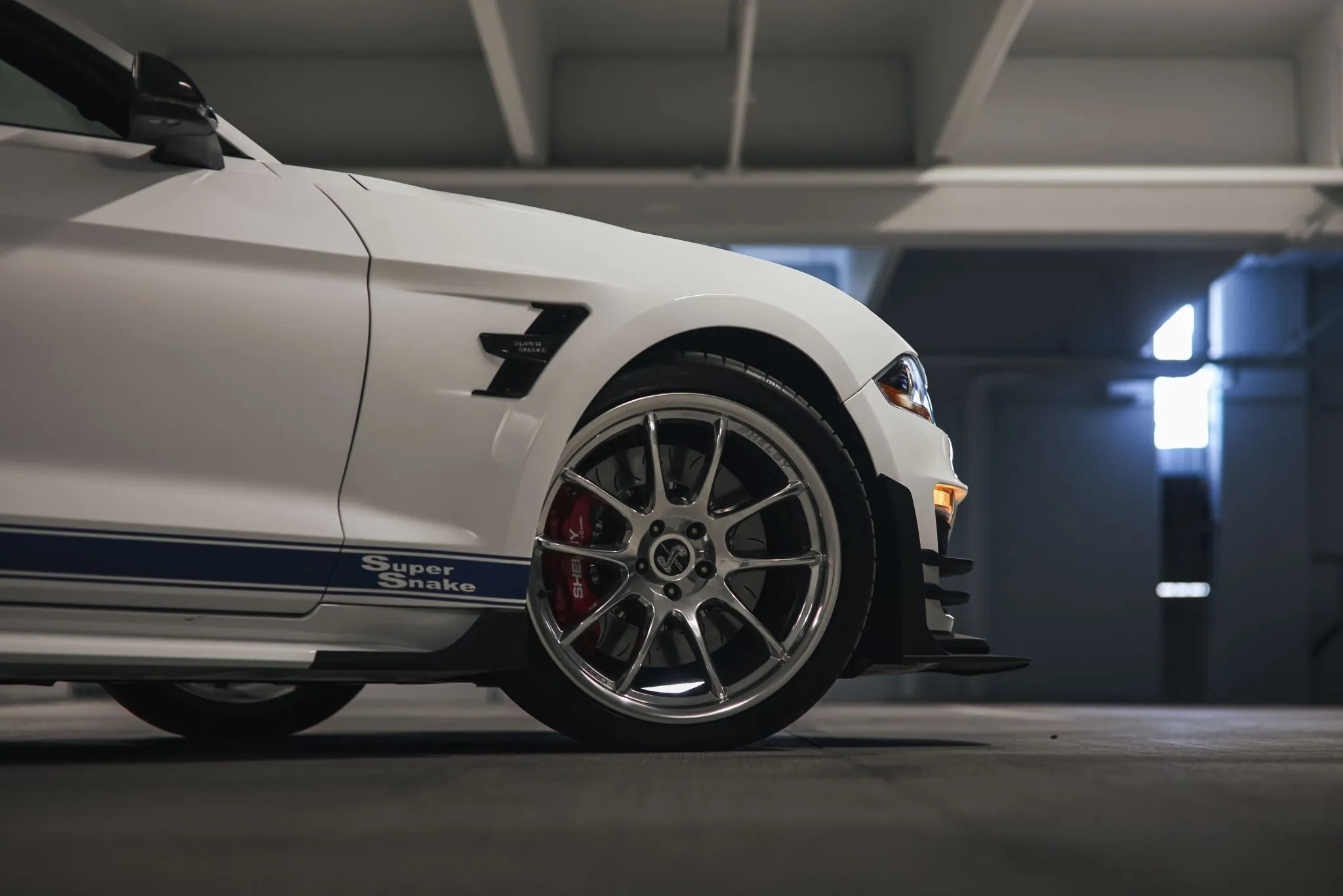 Ford Mustang Shelby Super Snake Speedster 13